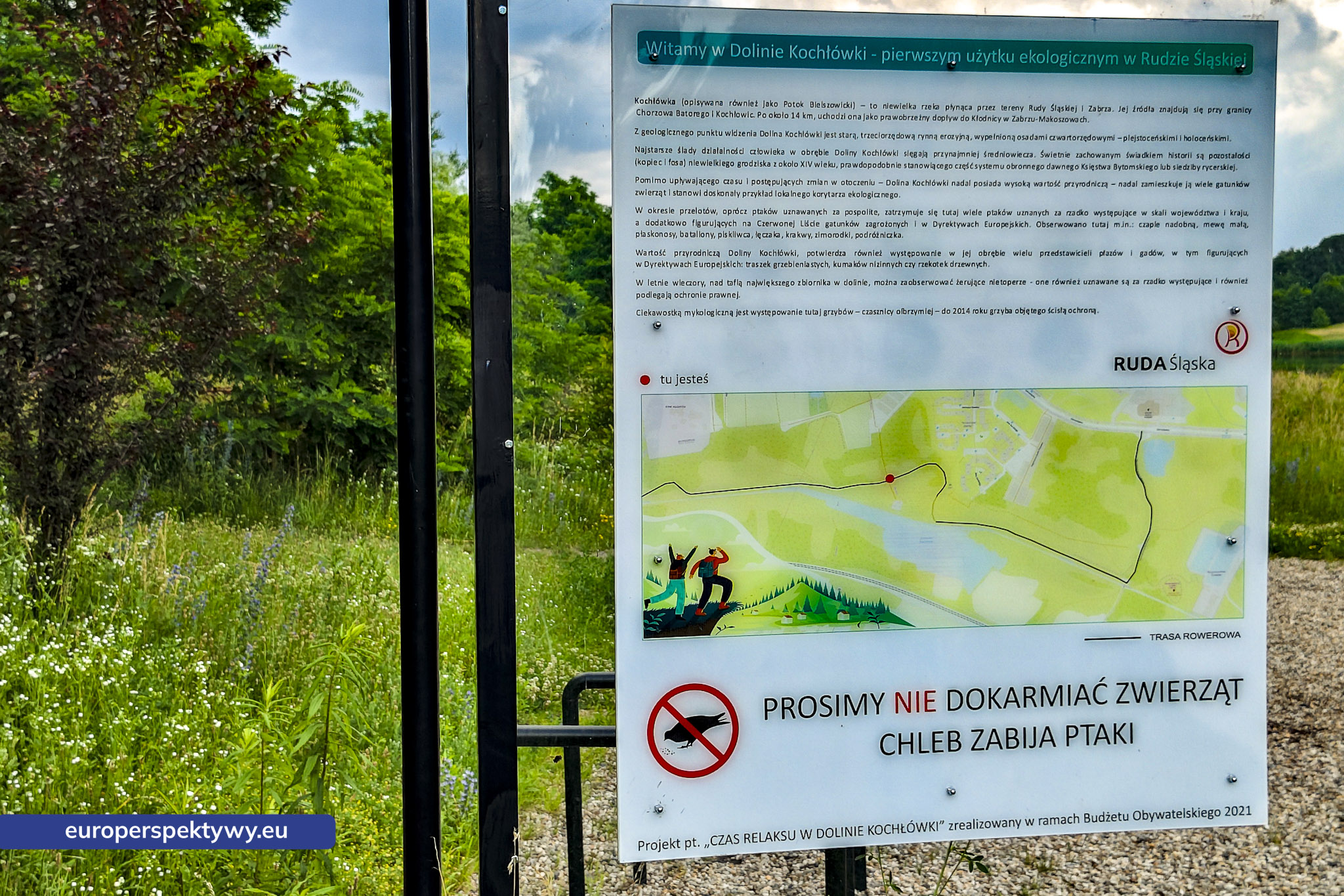 Europerspektywy Dolina Kochłówki w Rudzie Śląskiej – ekologiczny spacer po ukrytym skarbie Górnego Śląska [fotoreportaż]