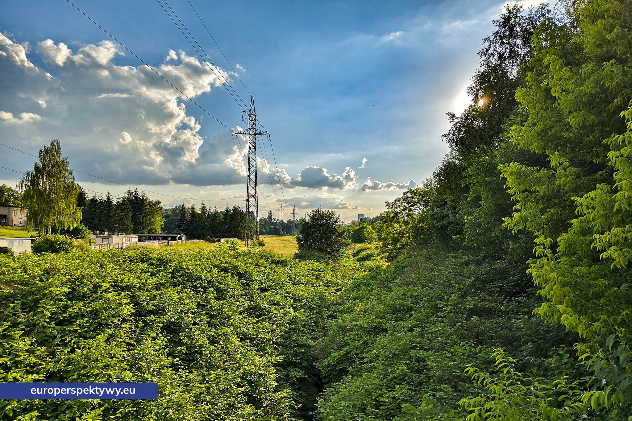 Europerspektywy Dolina Kochłówki w Rudzie Śląskiej – ekologiczny spacer po ukrytym skarbie Górnego Śląska [fotoreportaż]