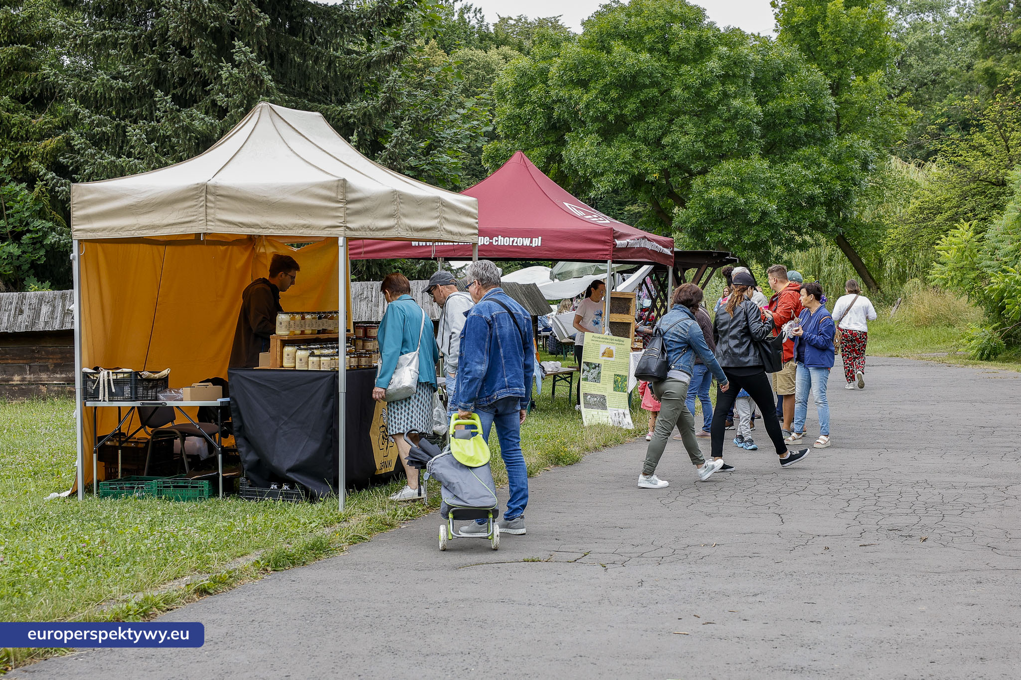 Europerspektywy Dzień Miodu w Skansenie – tam, gdzie tradycja spotyka troskę o przyrodę [fotoreportaż]