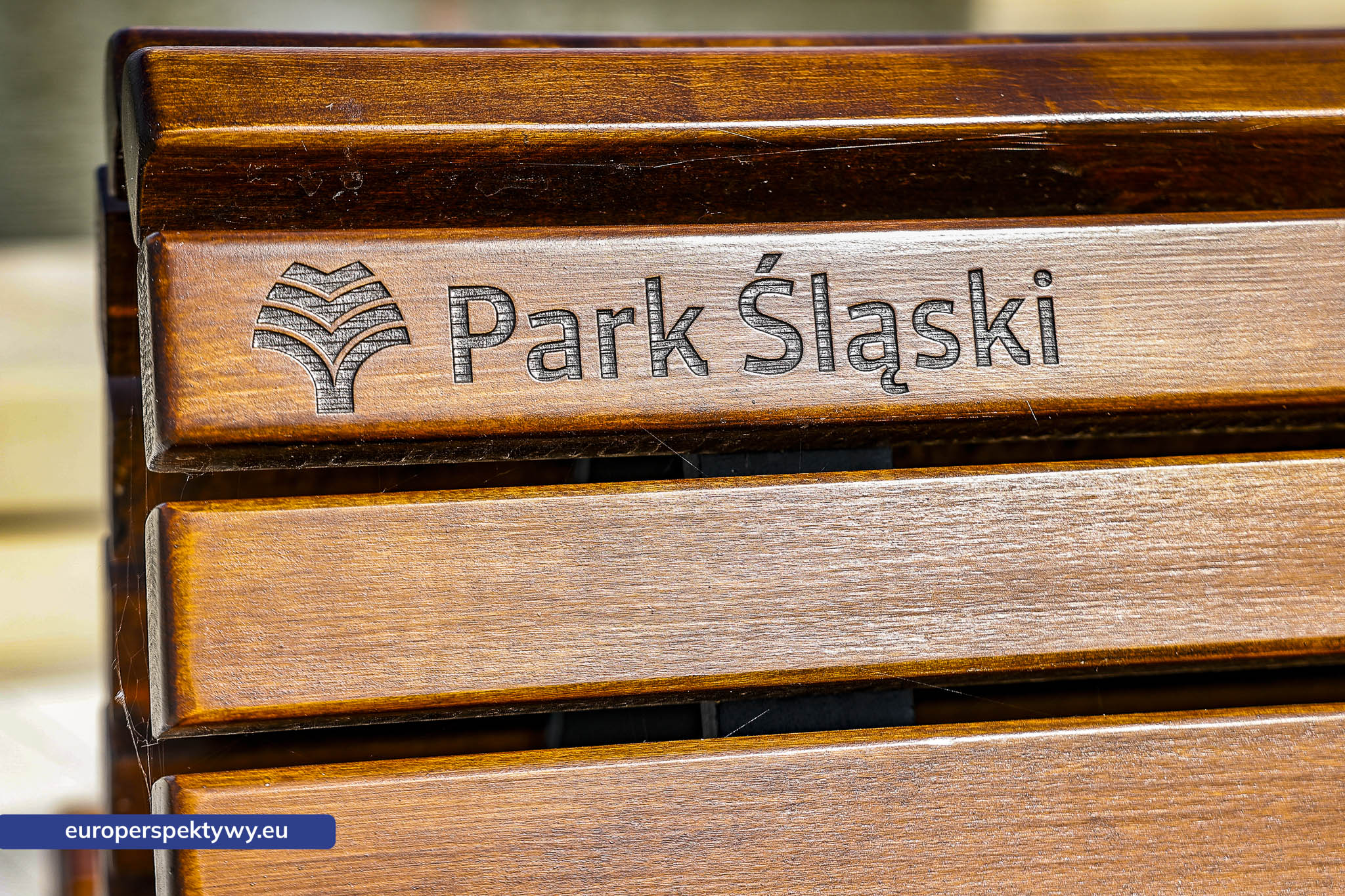 Europerspektywy TAURON Park Śląski otwiera odnowiony Kanał regatowy. Nowa przestrzeń dla mieszkańców