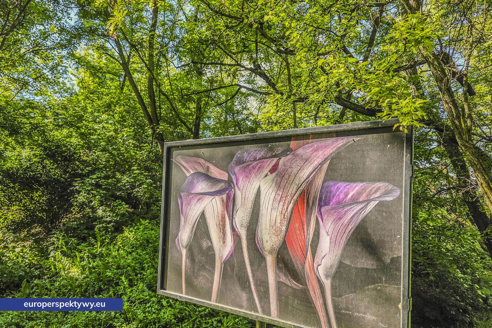 Europerspektywy Śląski Ogród Botaniczny – zielona przestrzeń, która uczy natury [fotoreportaż]
