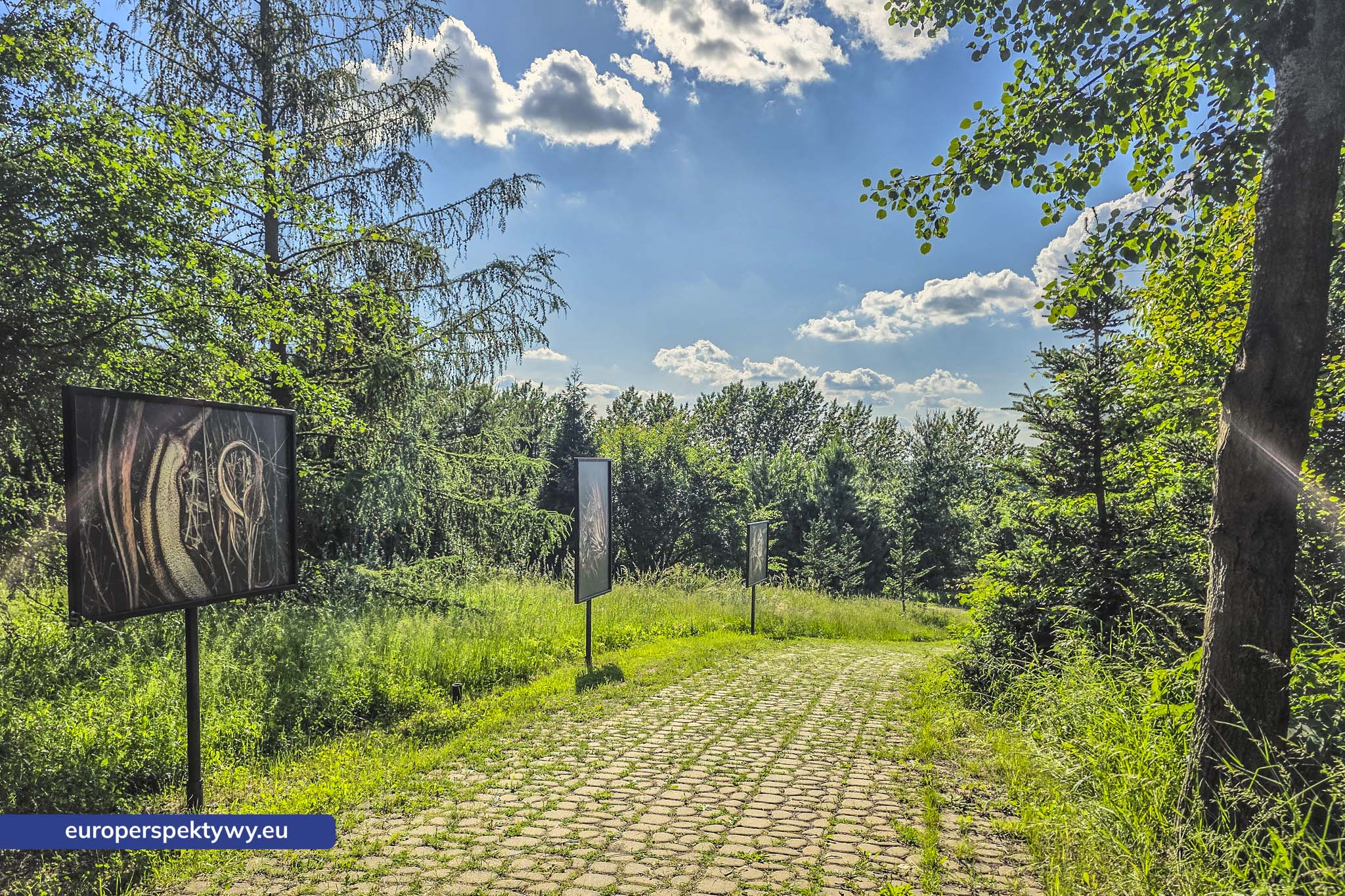 Europerspektywy Śląski Ogród Botaniczny – zielona przestrzeń, która uczy natury [fotoreportaż]