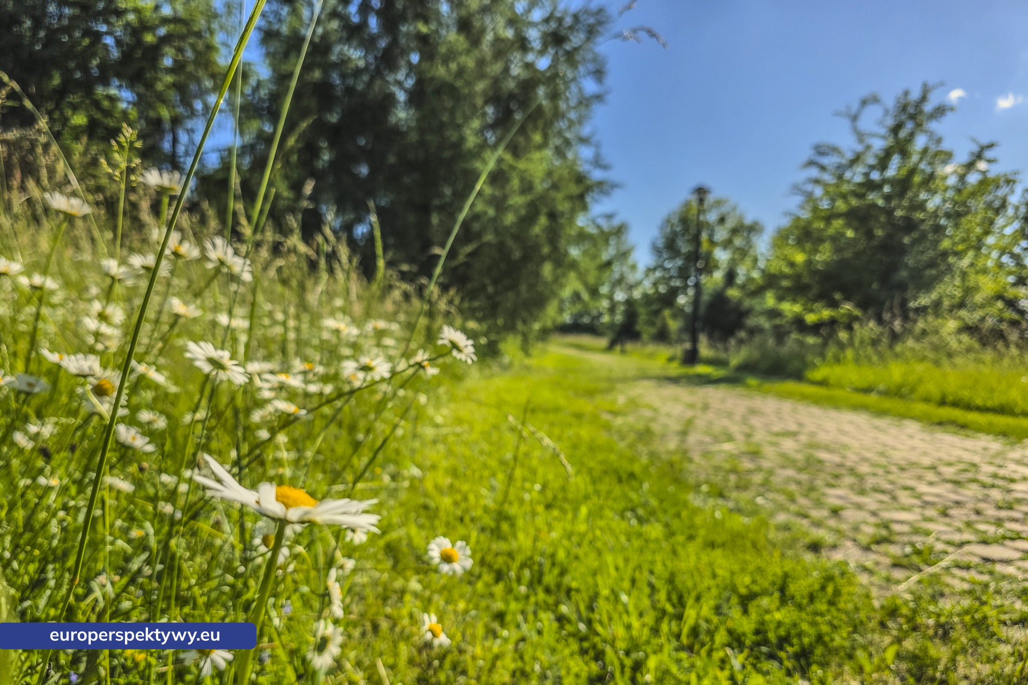 Europerspektywy Śląski Ogród Botaniczny – zielona przestrzeń, która uczy natury [fotoreportaż]