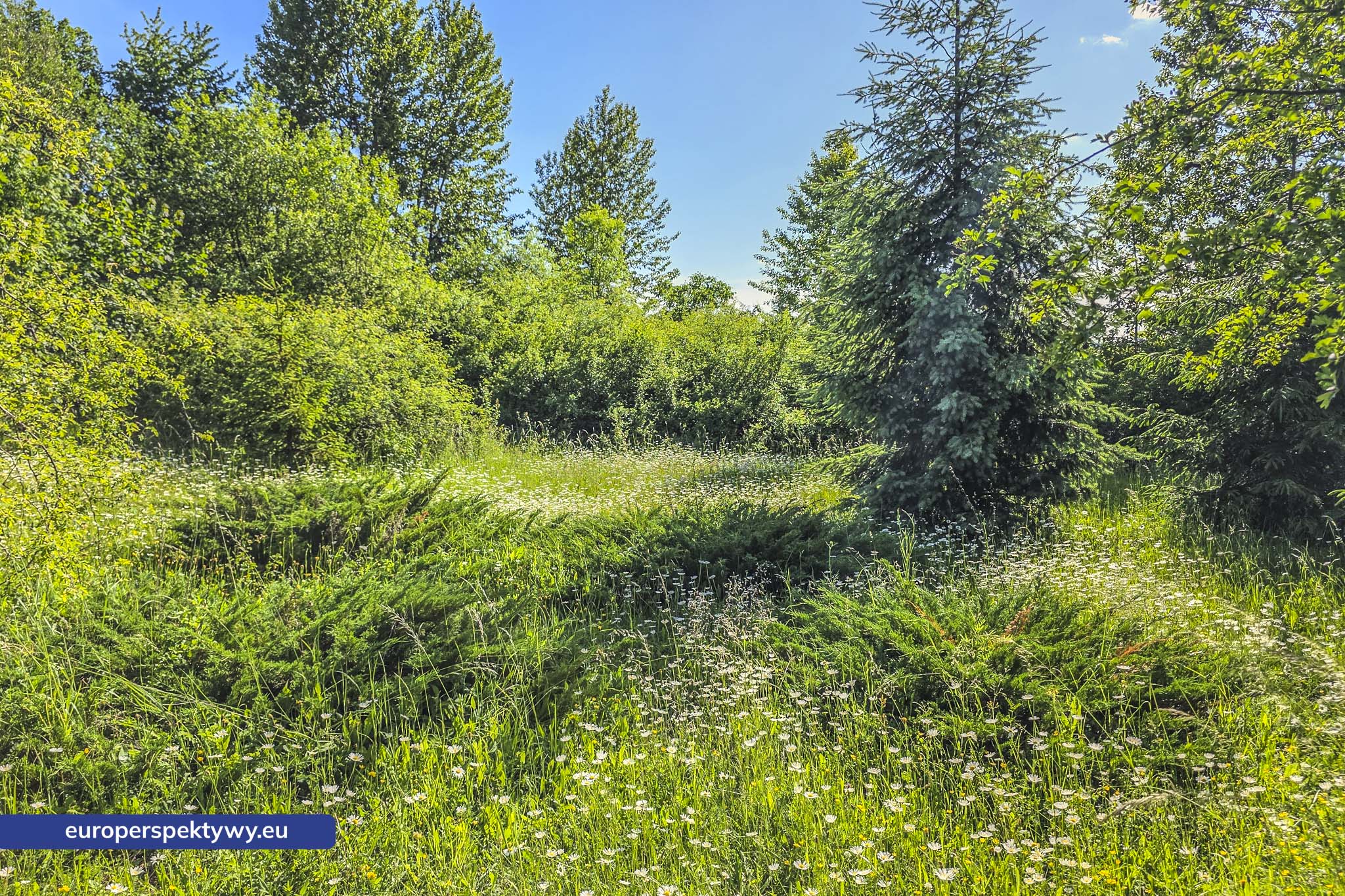 Europerspektywy Śląski Ogród Botaniczny – zielona przestrzeń, która uczy natury [fotoreportaż]