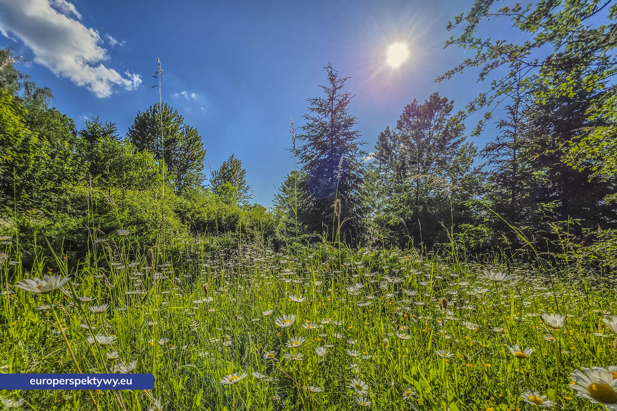 Europerspektywy Śląski Ogród Botaniczny – zielona przestrzeń, która uczy natury [fotoreportaż]