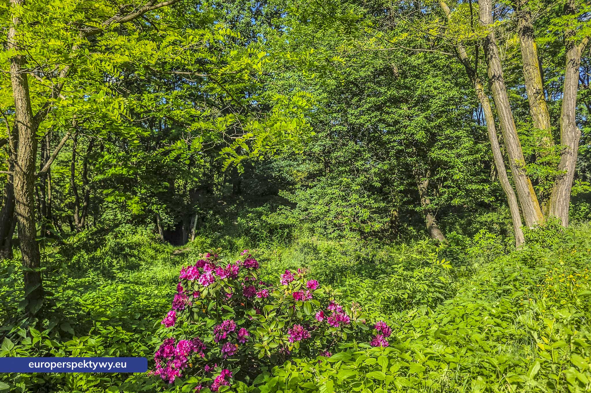 Europerspektywy Śląski Ogród Botaniczny – zielona przestrzeń, która uczy natury [fotoreportaż]