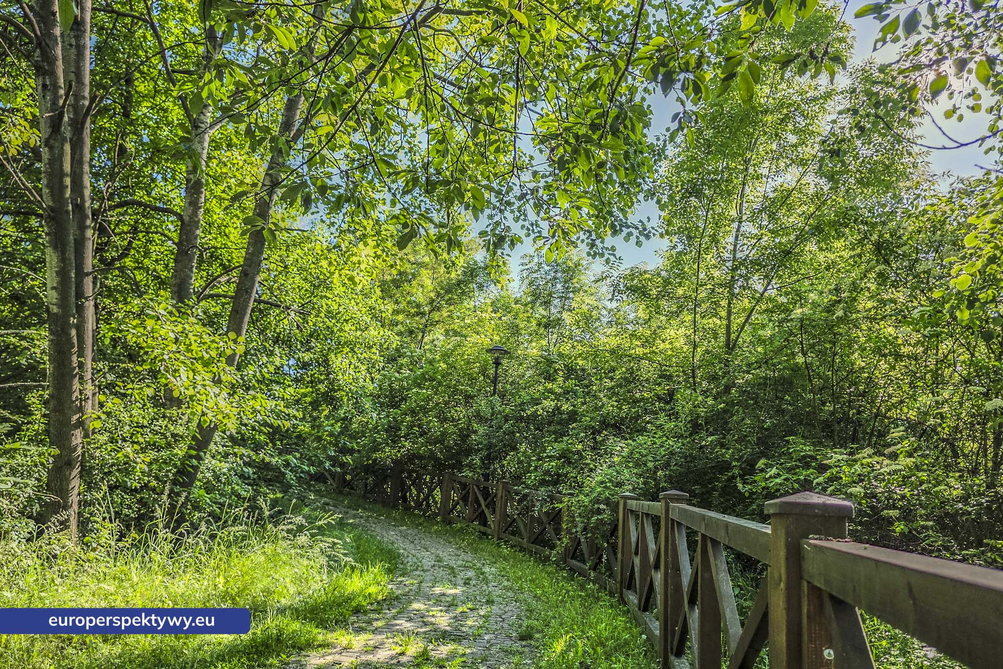 Europerspektywy Śląski Ogród Botaniczny – zielona przestrzeń, która uczy natury [fotoreportaż]