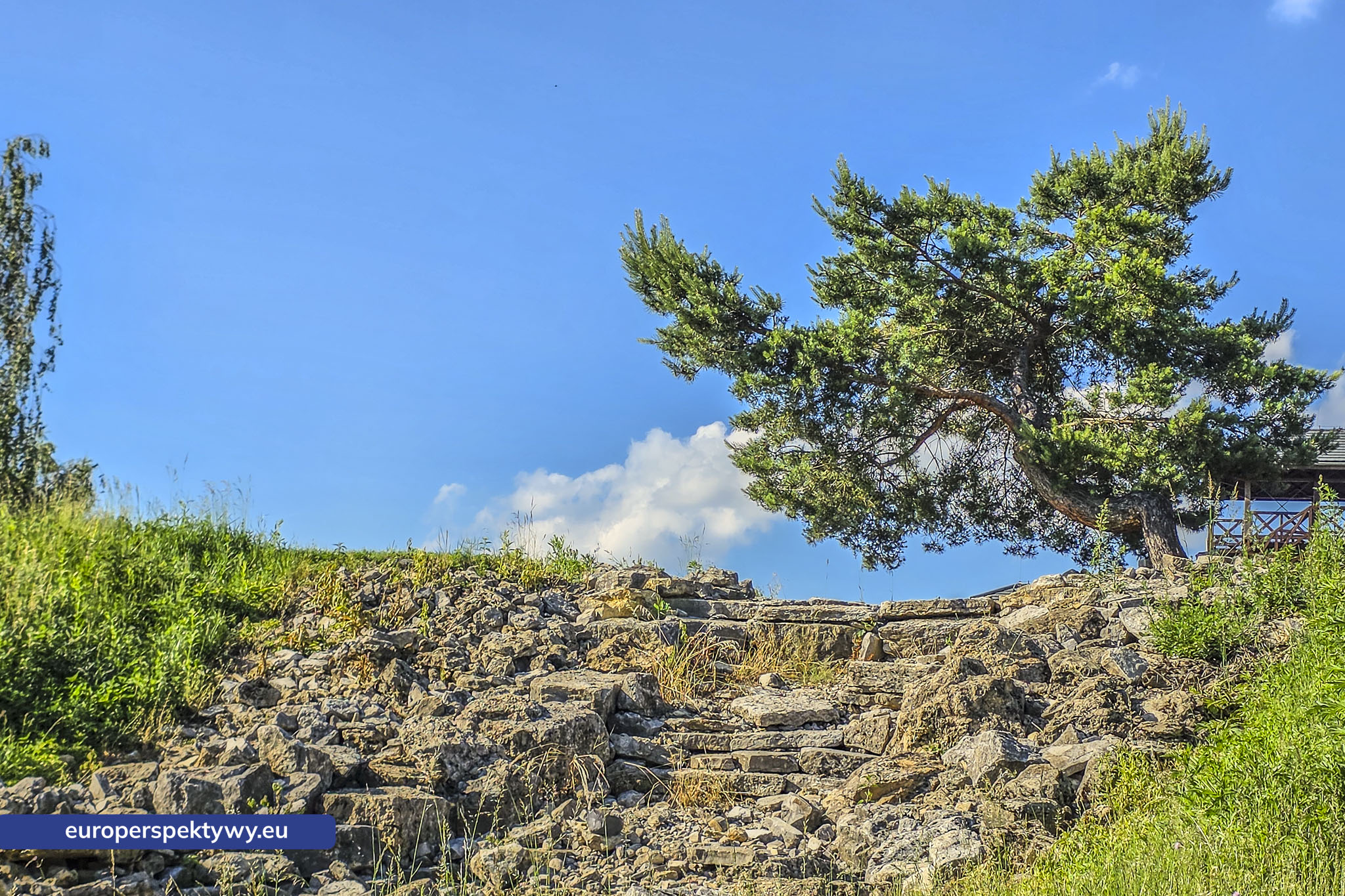 Europerspektywy Śląski Ogród Botaniczny – zielona przestrzeń, która uczy natury [fotoreportaż]