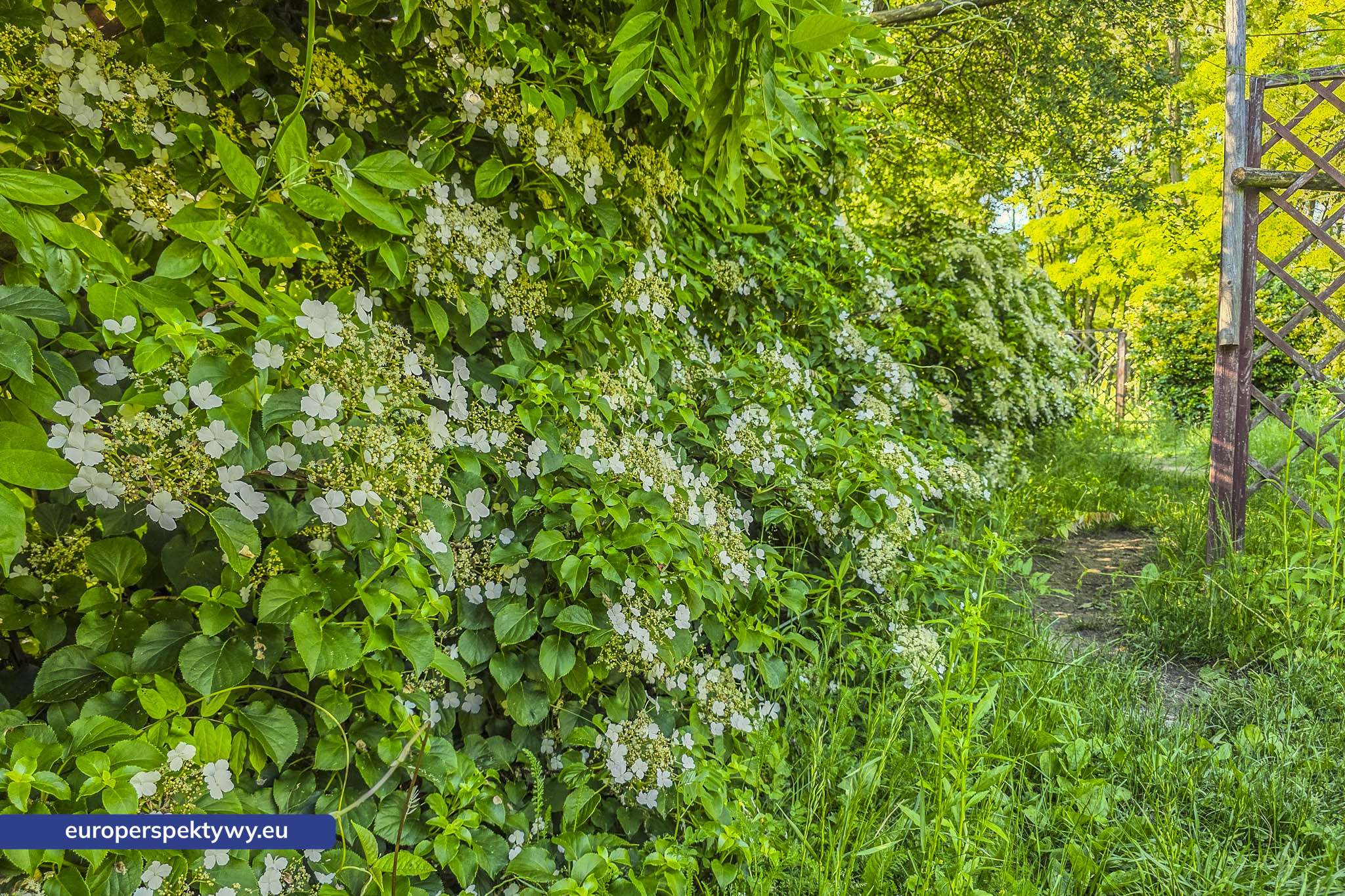 Europerspektywy Śląski Ogród Botaniczny – zielona przestrzeń, która uczy natury [fotoreportaż]