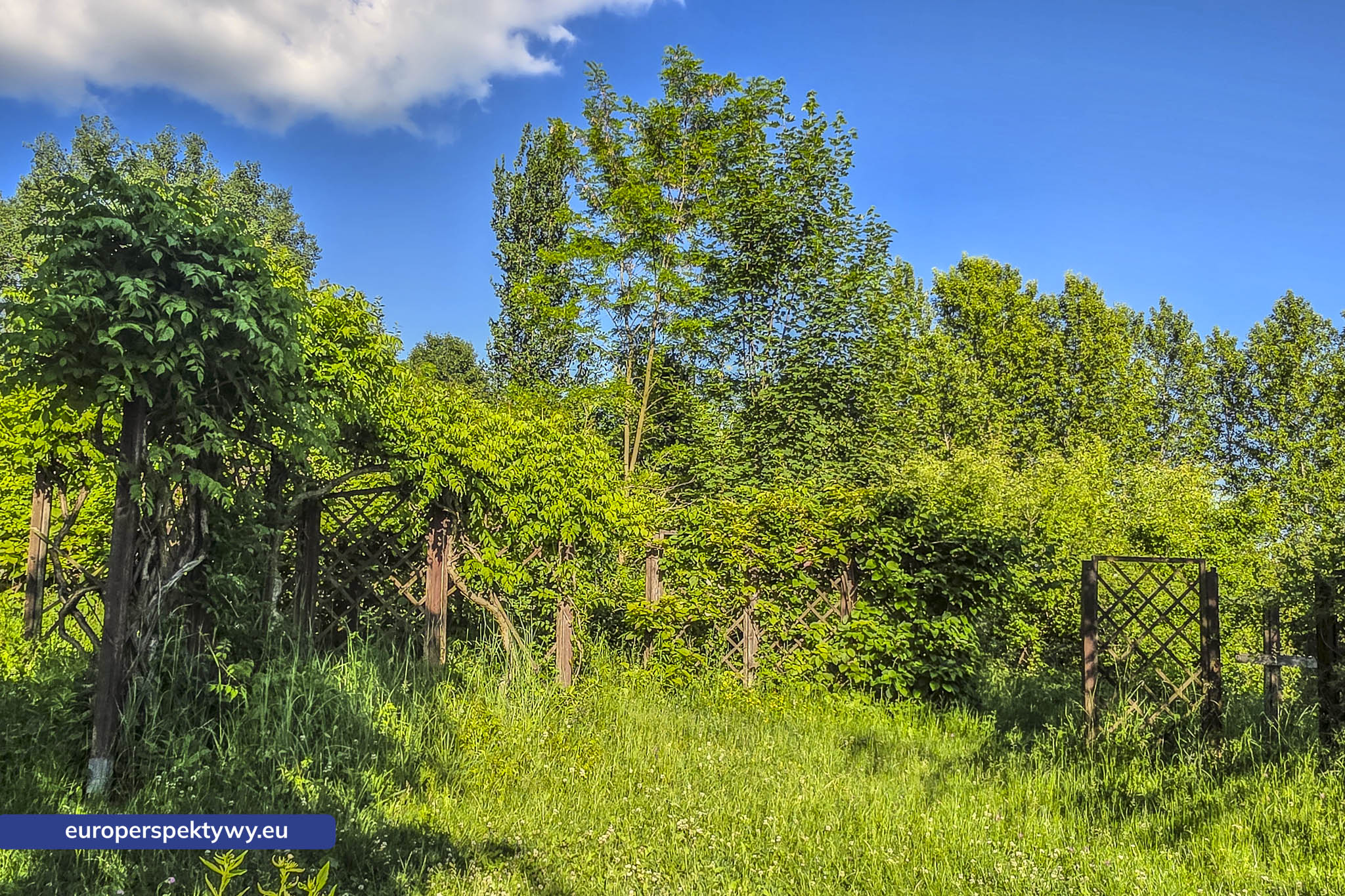 Europerspektywy Śląski Ogród Botaniczny – zielona przestrzeń, która uczy natury [fotoreportaż]