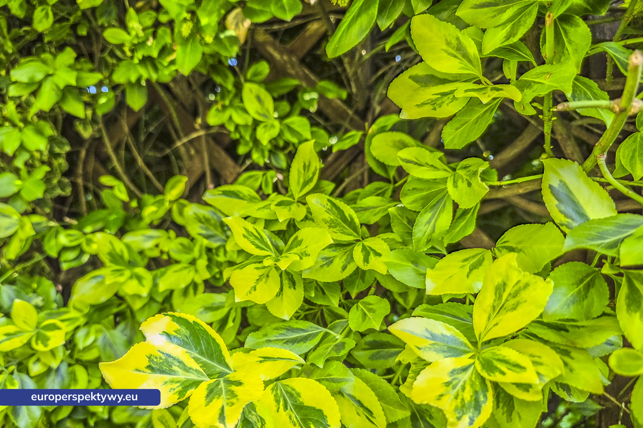 Europerspektywy Śląski Ogród Botaniczny – zielona przestrzeń, która uczy natury [fotoreportaż]