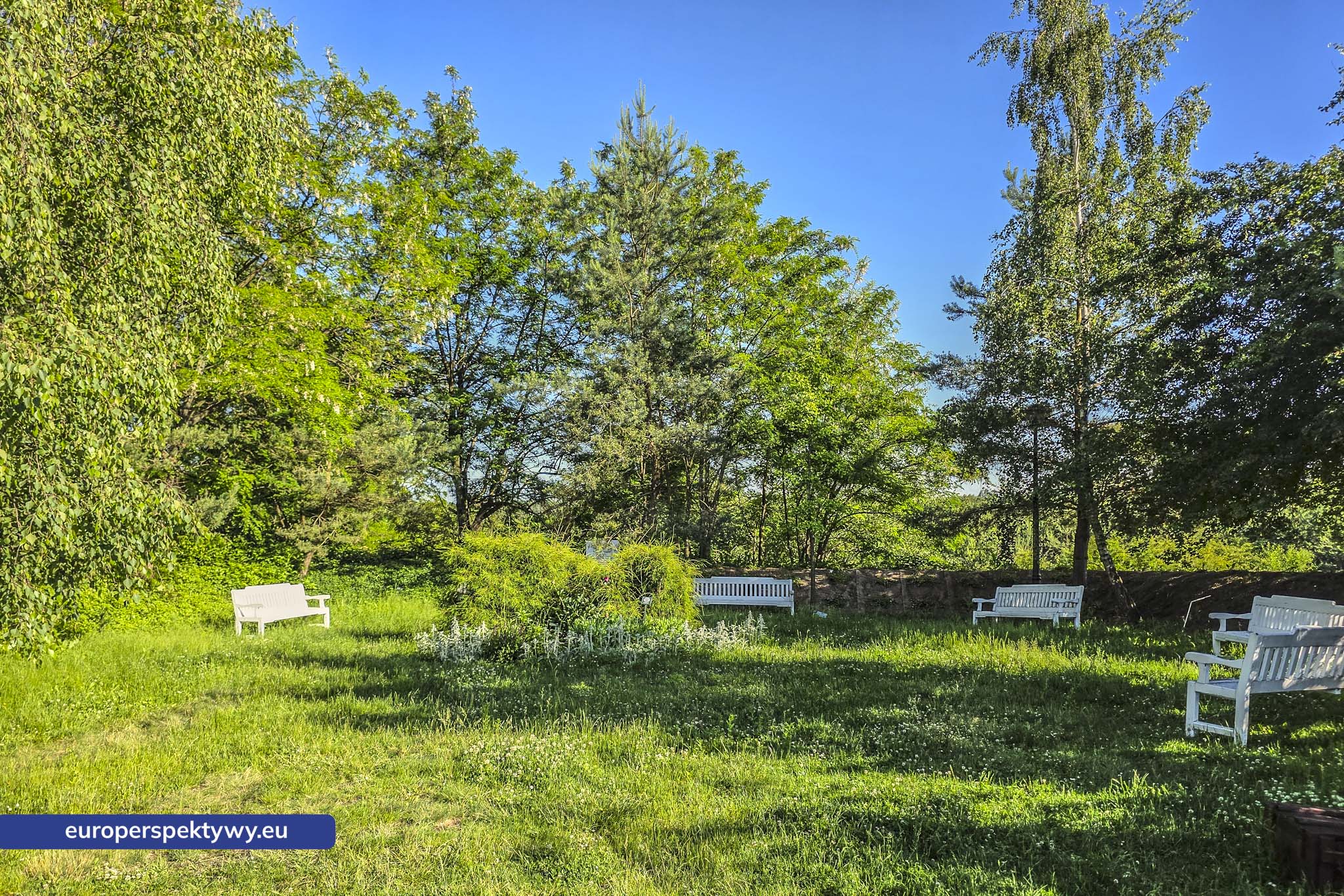 Europerspektywy Śląski Ogród Botaniczny – zielona przestrzeń, która uczy natury [fotoreportaż]