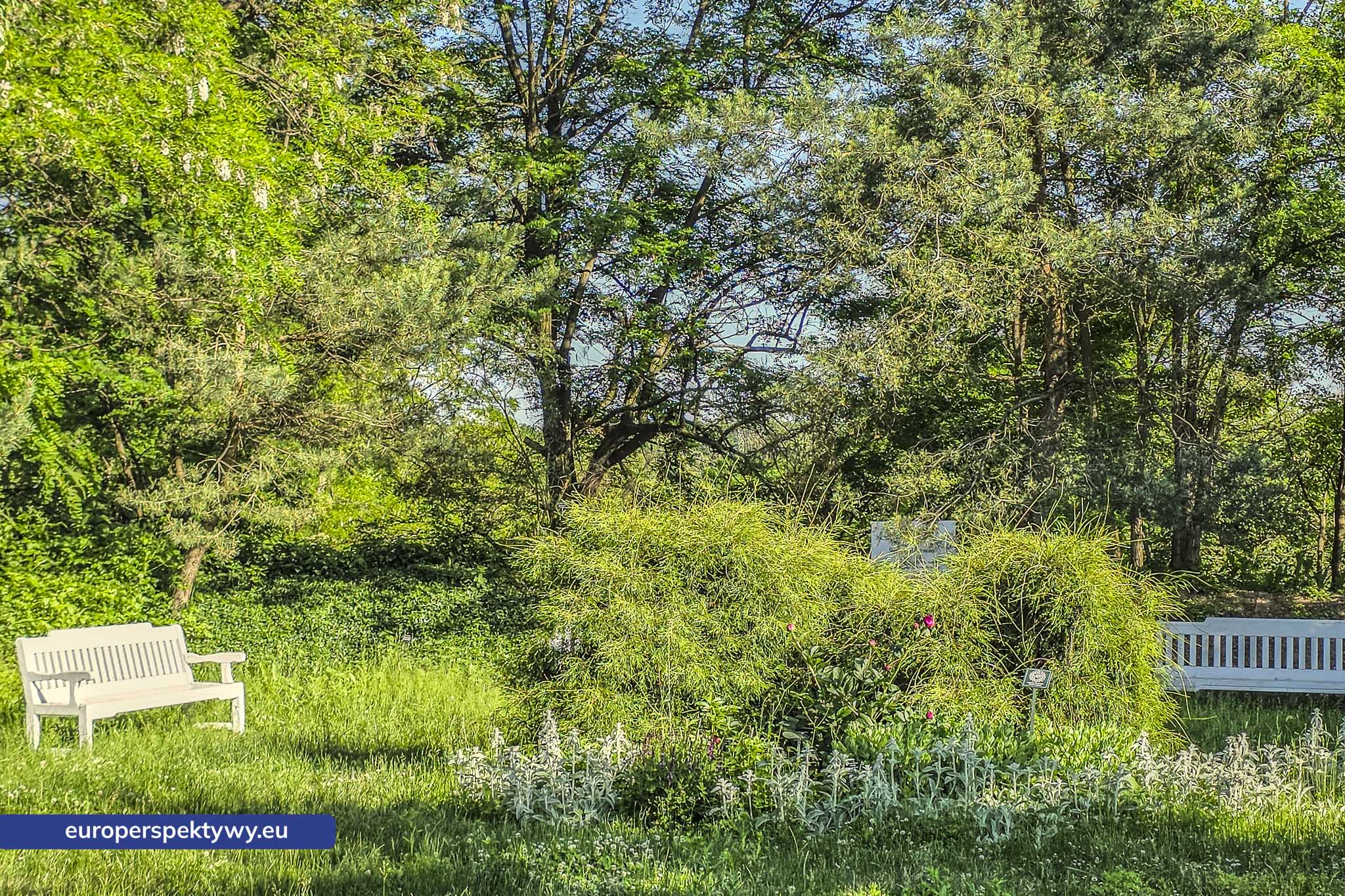 Europerspektywy Śląski Ogród Botaniczny – zielona przestrzeń, która uczy natury [fotoreportaż]