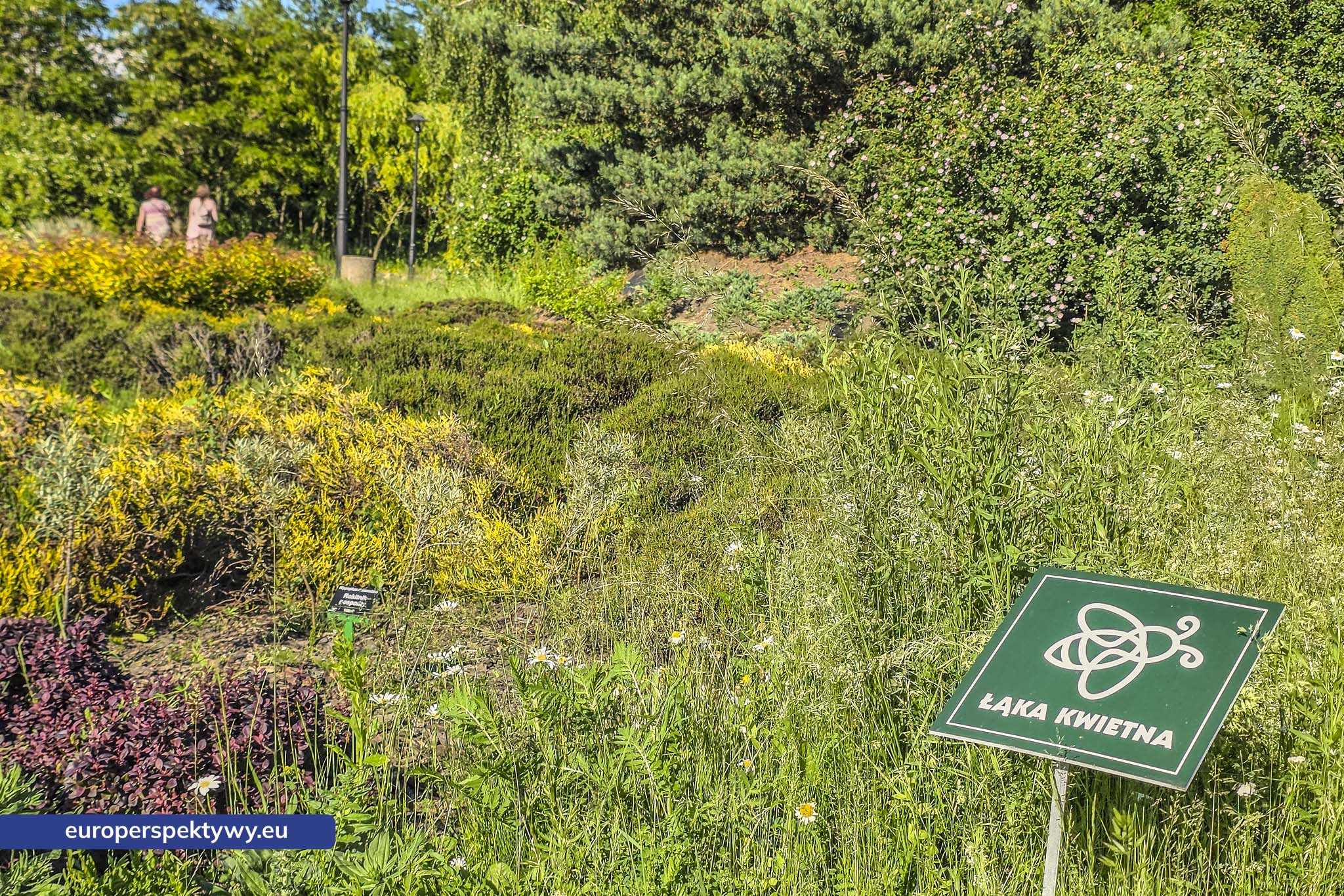 Europerspektywy Śląski Ogród Botaniczny – zielona przestrzeń, która uczy natury [fotoreportaż]