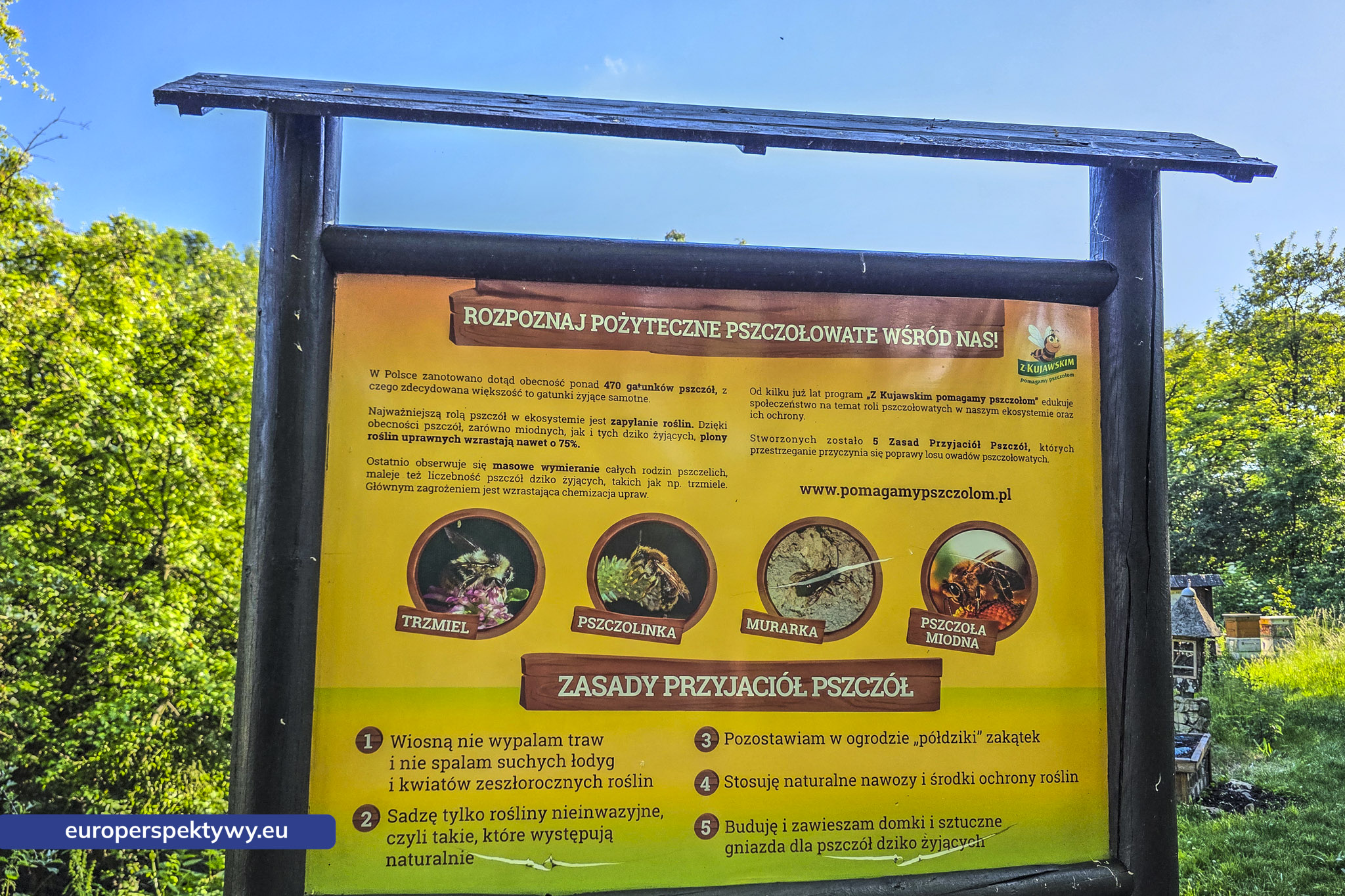 Europerspektywy Śląski Ogród Botaniczny – zielona przestrzeń, która uczy natury [fotoreportaż]