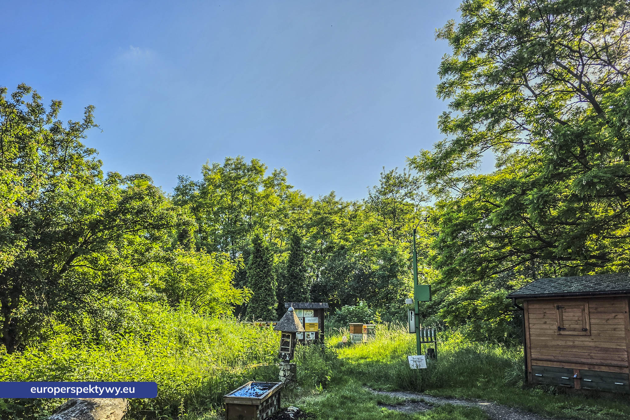 Europerspektywy Śląski Ogród Botaniczny – zielona przestrzeń, która uczy natury [fotoreportaż]