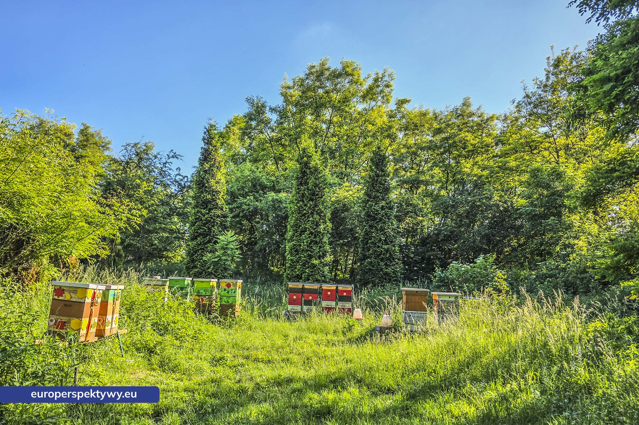 Europerspektywy Śląski Ogród Botaniczny – zielona przestrzeń, która uczy natury [fotoreportaż]
