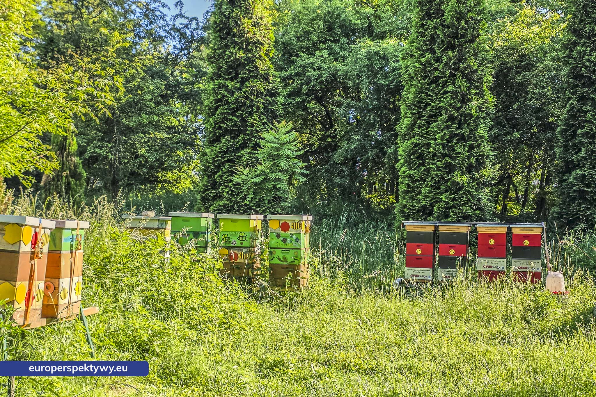 Europerspektywy Śląski Ogród Botaniczny – zielona przestrzeń, która uczy natury [fotoreportaż]