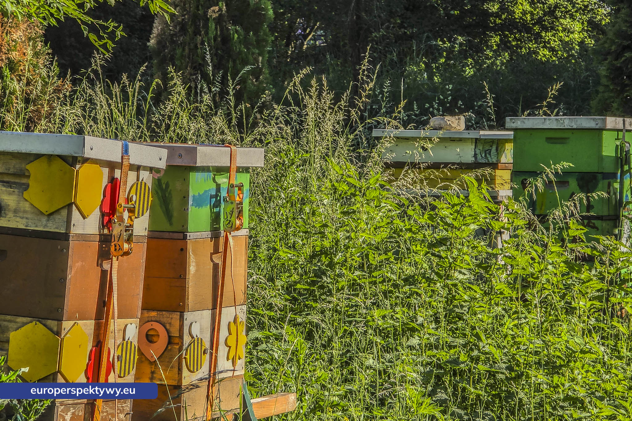 Europerspektywy Śląski Ogród Botaniczny – zielona przestrzeń, która uczy natury [fotoreportaż]