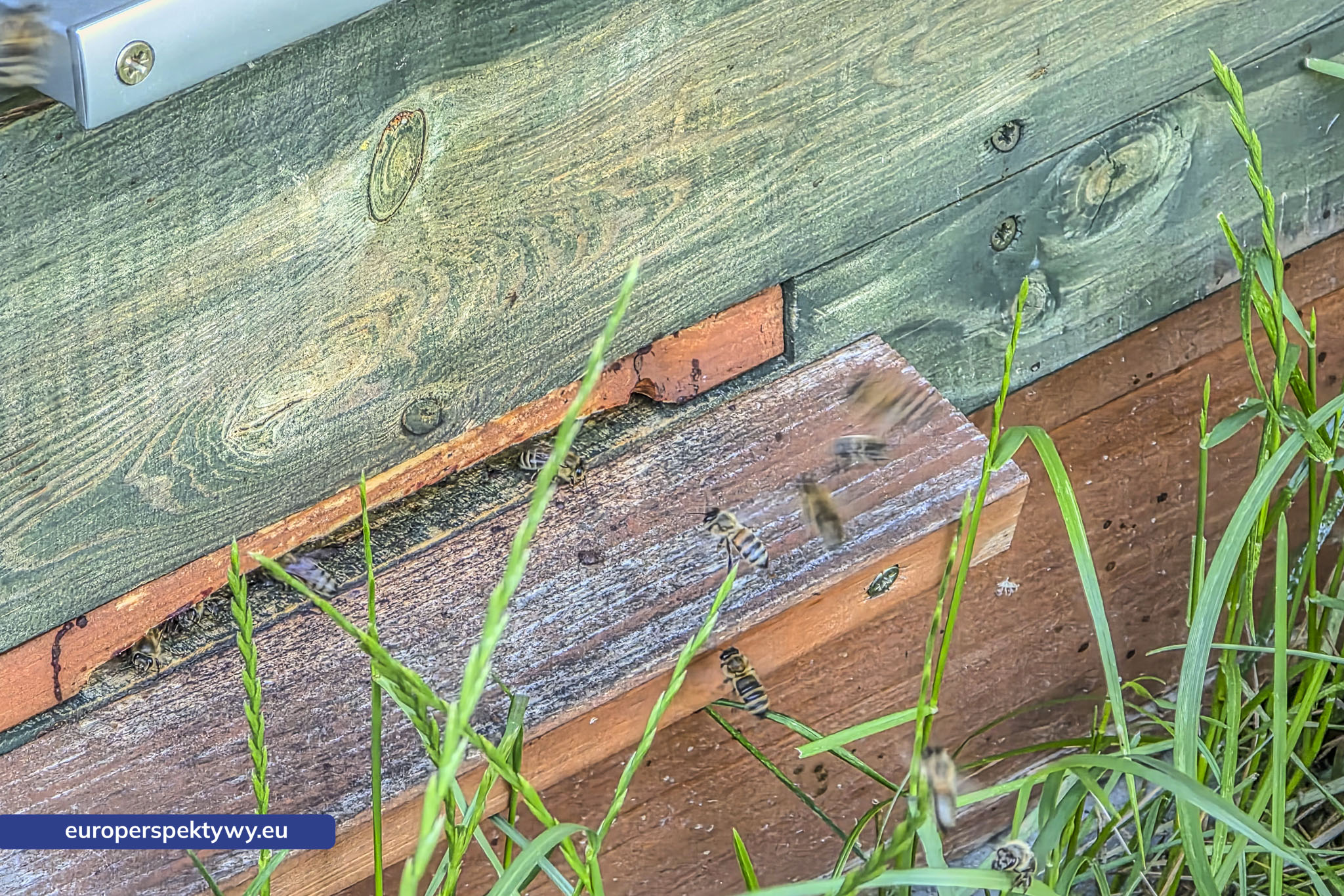 Europerspektywy Śląski Ogród Botaniczny – zielona przestrzeń, która uczy natury [fotoreportaż]
