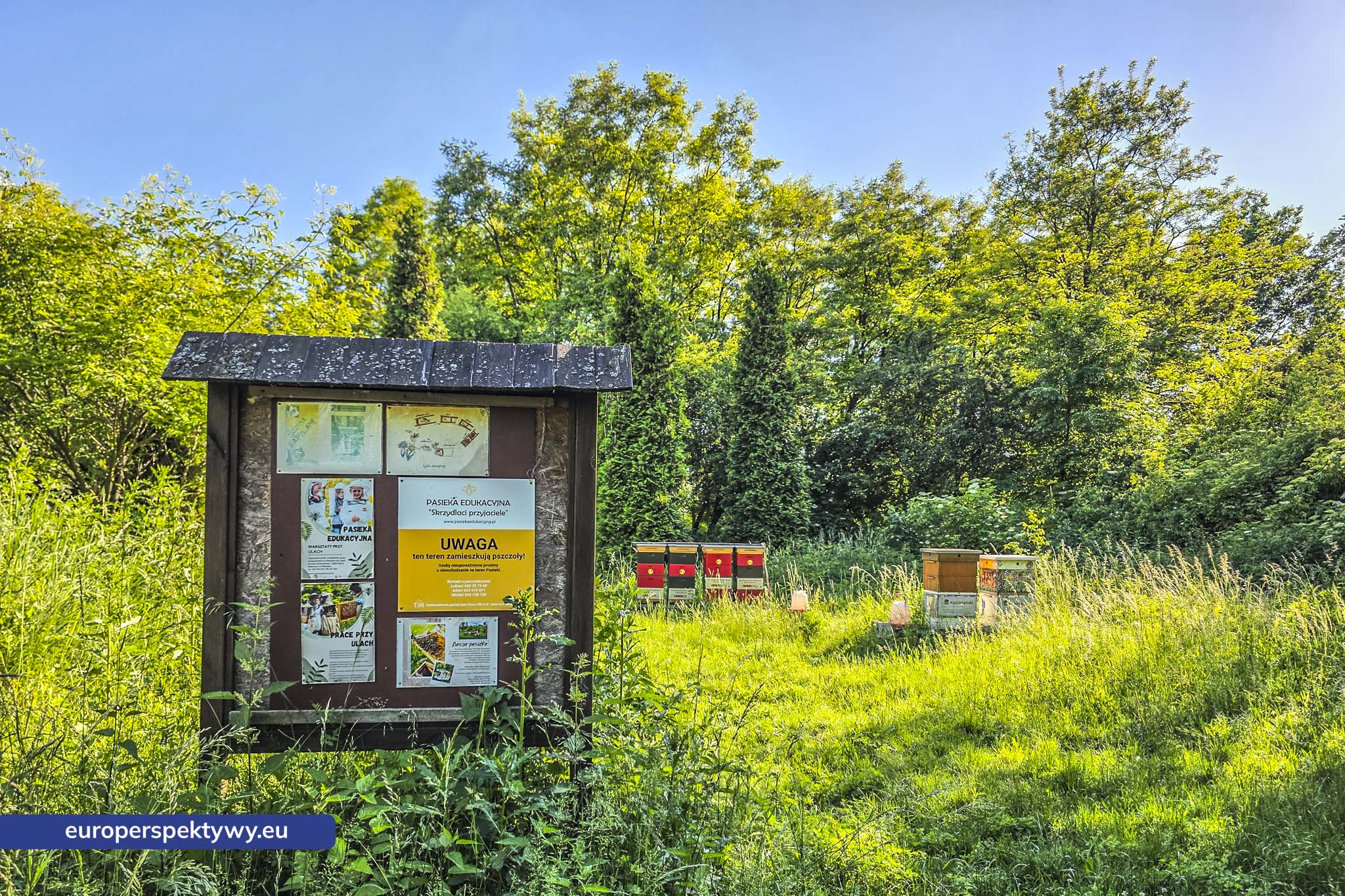 Europerspektywy Śląski Ogród Botaniczny – zielona przestrzeń, która uczy natury [fotoreportaż]