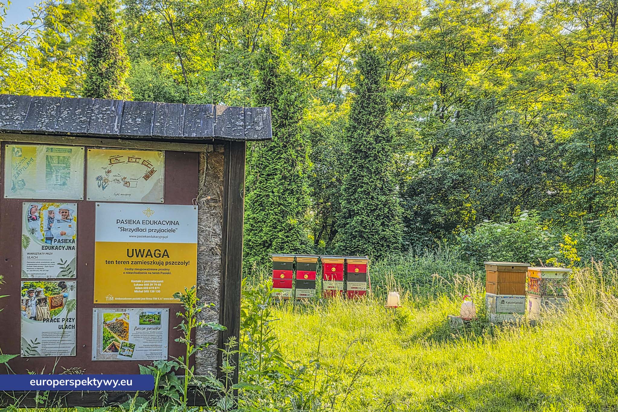 Europerspektywy Śląski Ogród Botaniczny – zielona przestrzeń, która uczy natury [fotoreportaż]