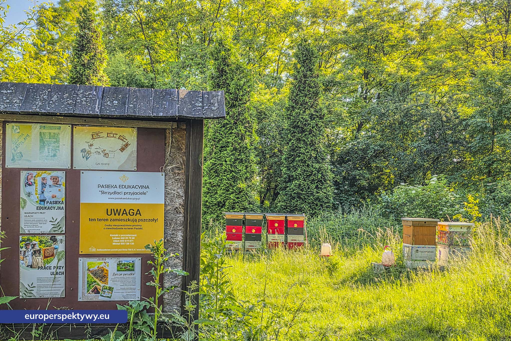 Europerspektywy Śląski Ogród Botaniczny – zielona przestrzeń, która uczy natury [fotoreportaż]