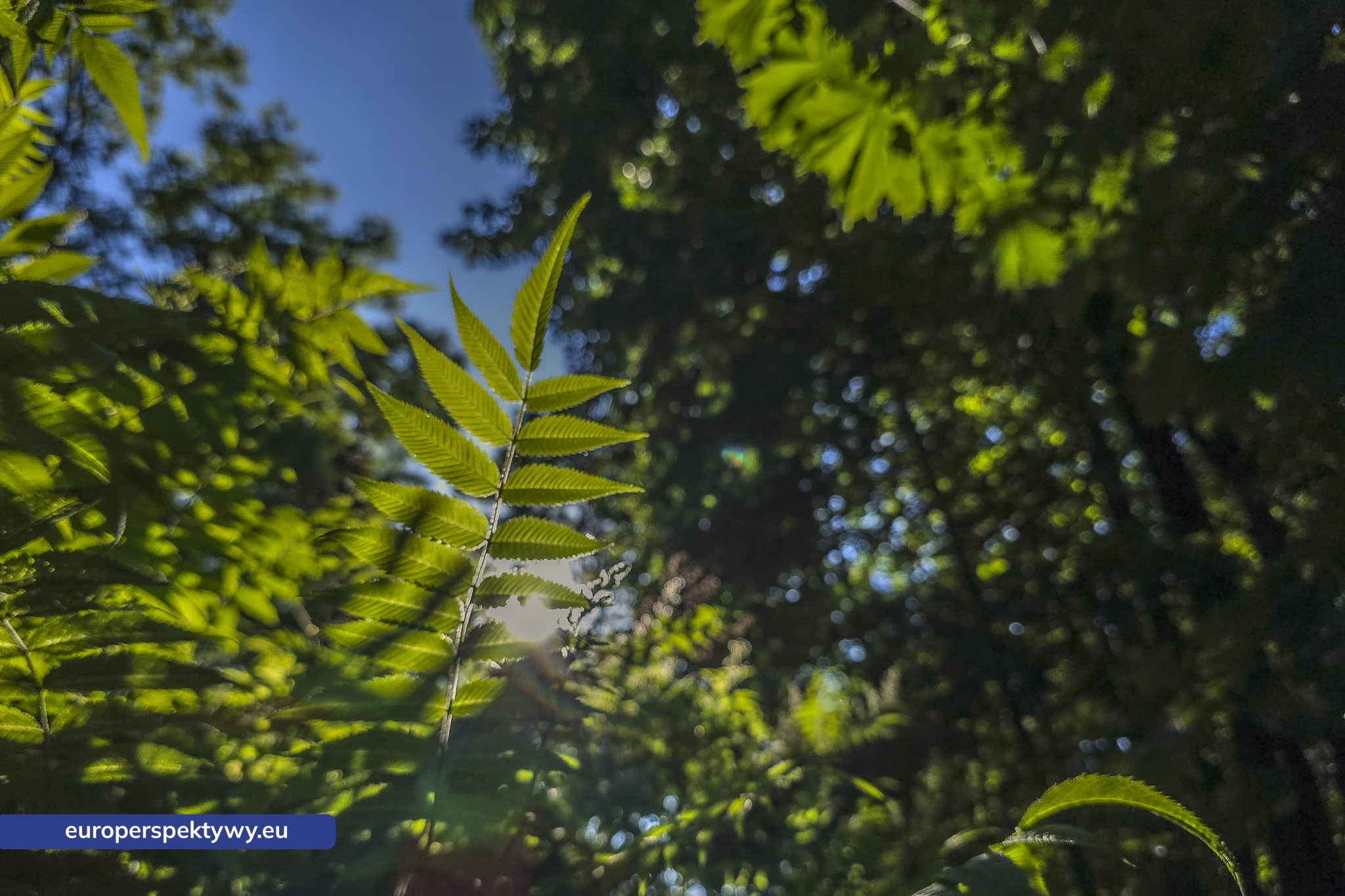 Europerspektywy Śląski Ogród Botaniczny – zielona przestrzeń, która uczy natury [fotoreportaż]
