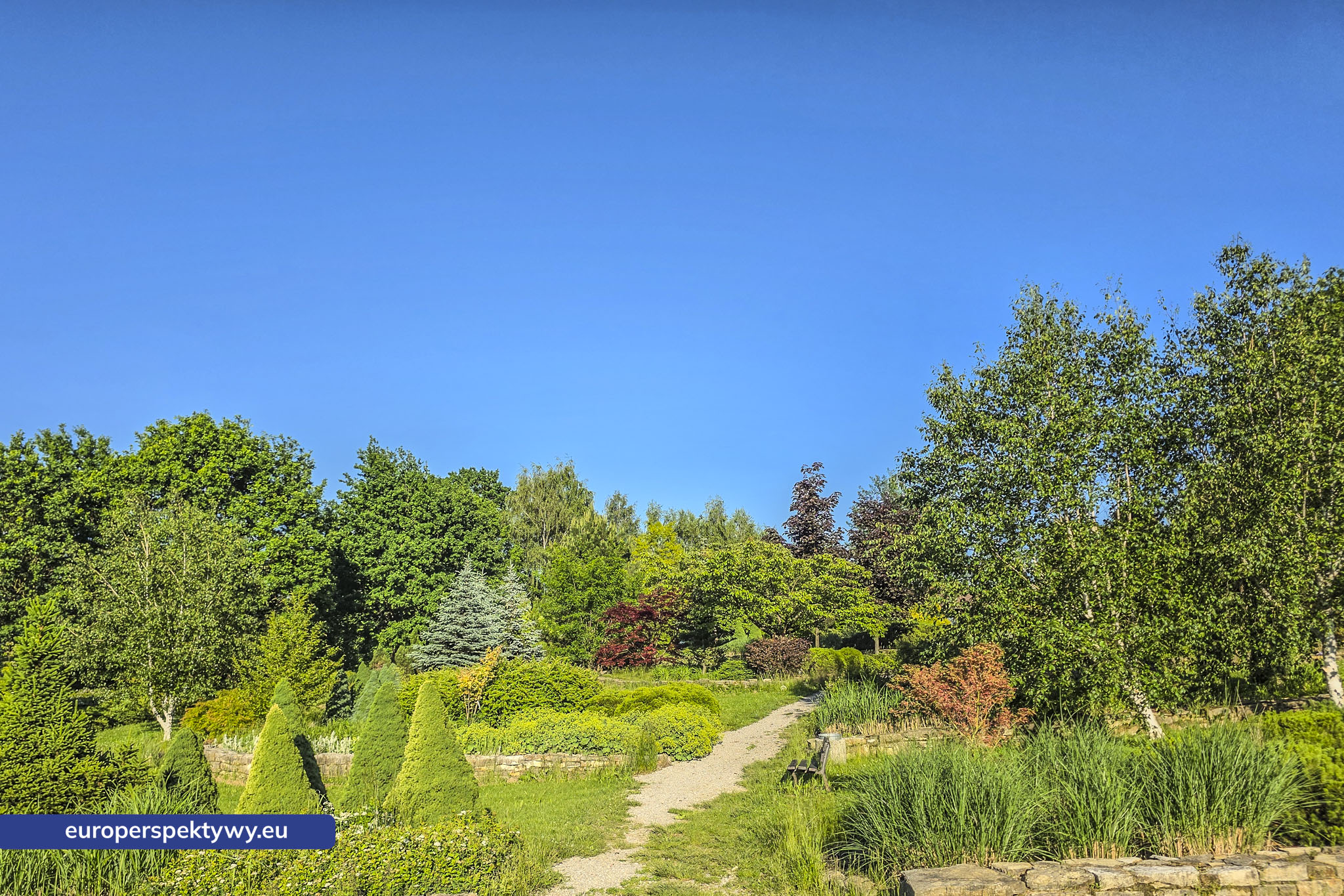 Europerspektywy Śląski Ogród Botaniczny – zielona przestrzeń, która uczy natury [fotoreportaż]