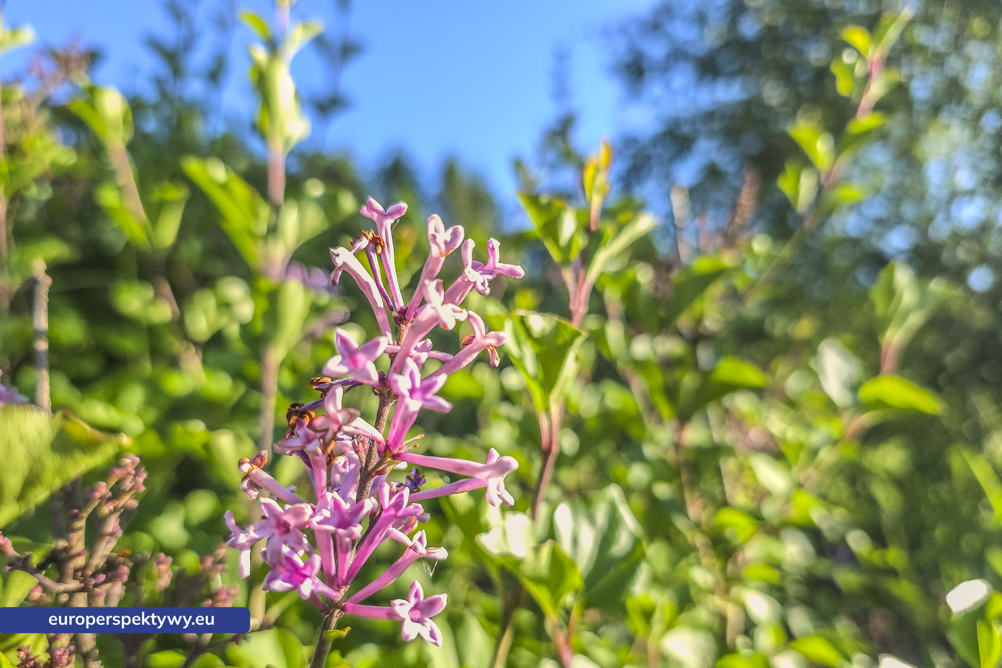 Europerspektywy Śląski Ogród Botaniczny – zielona przestrzeń, która uczy natury [fotoreportaż]