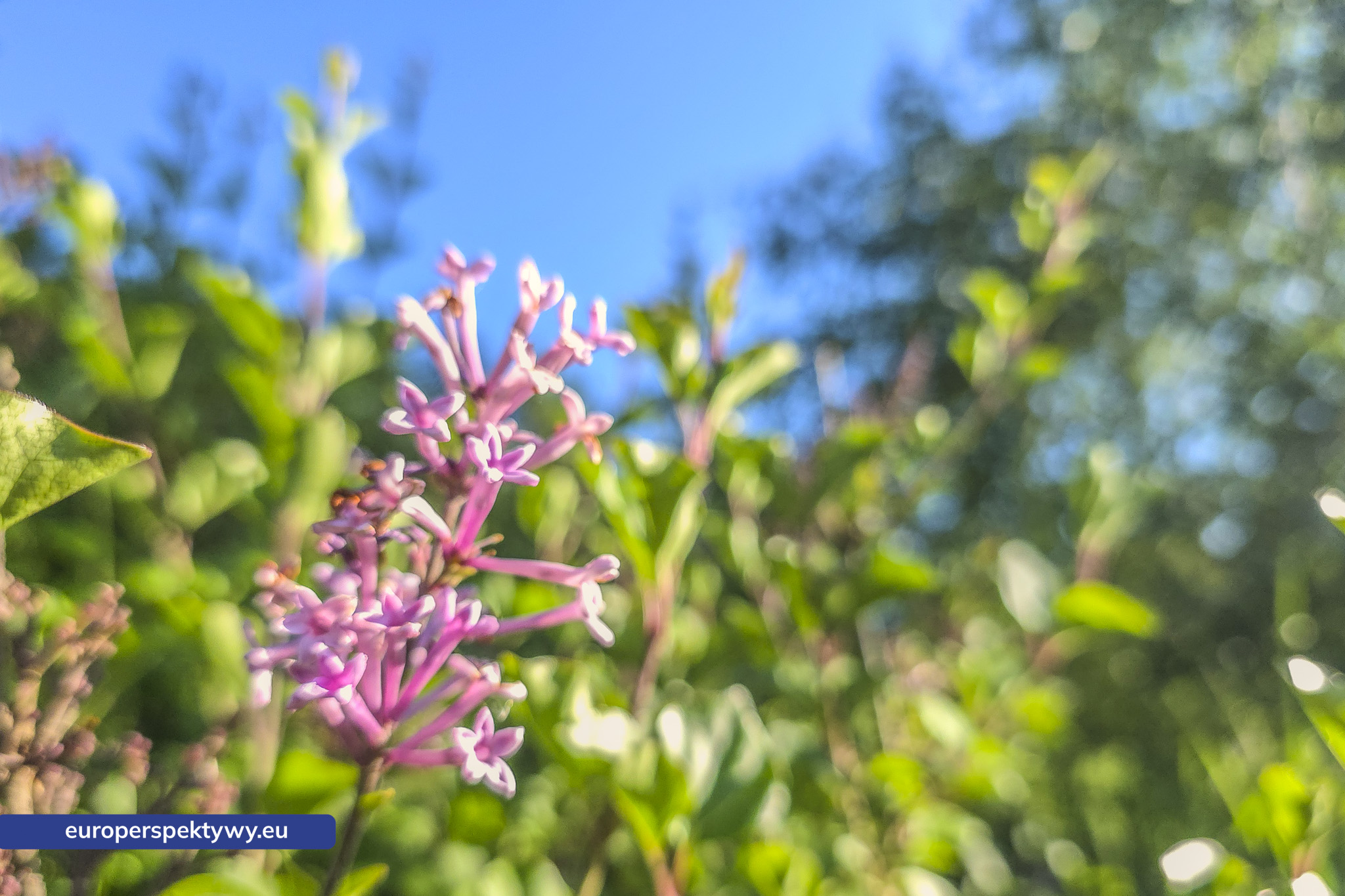 Europerspektywy Śląski Ogród Botaniczny – zielona przestrzeń, która uczy natury [fotoreportaż]