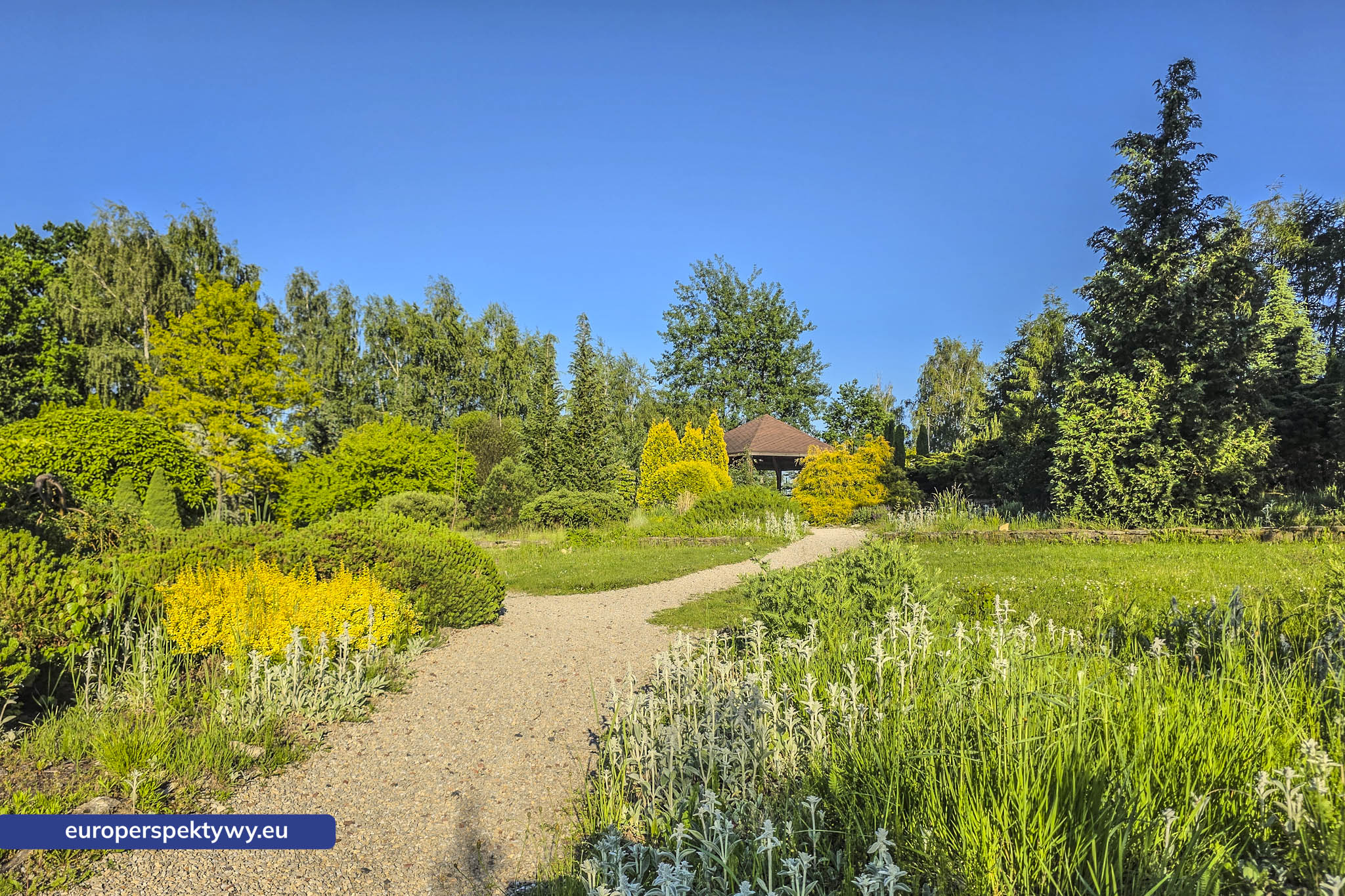 Europerspektywy Śląski Ogród Botaniczny – zielona przestrzeń, która uczy natury [fotoreportaż]