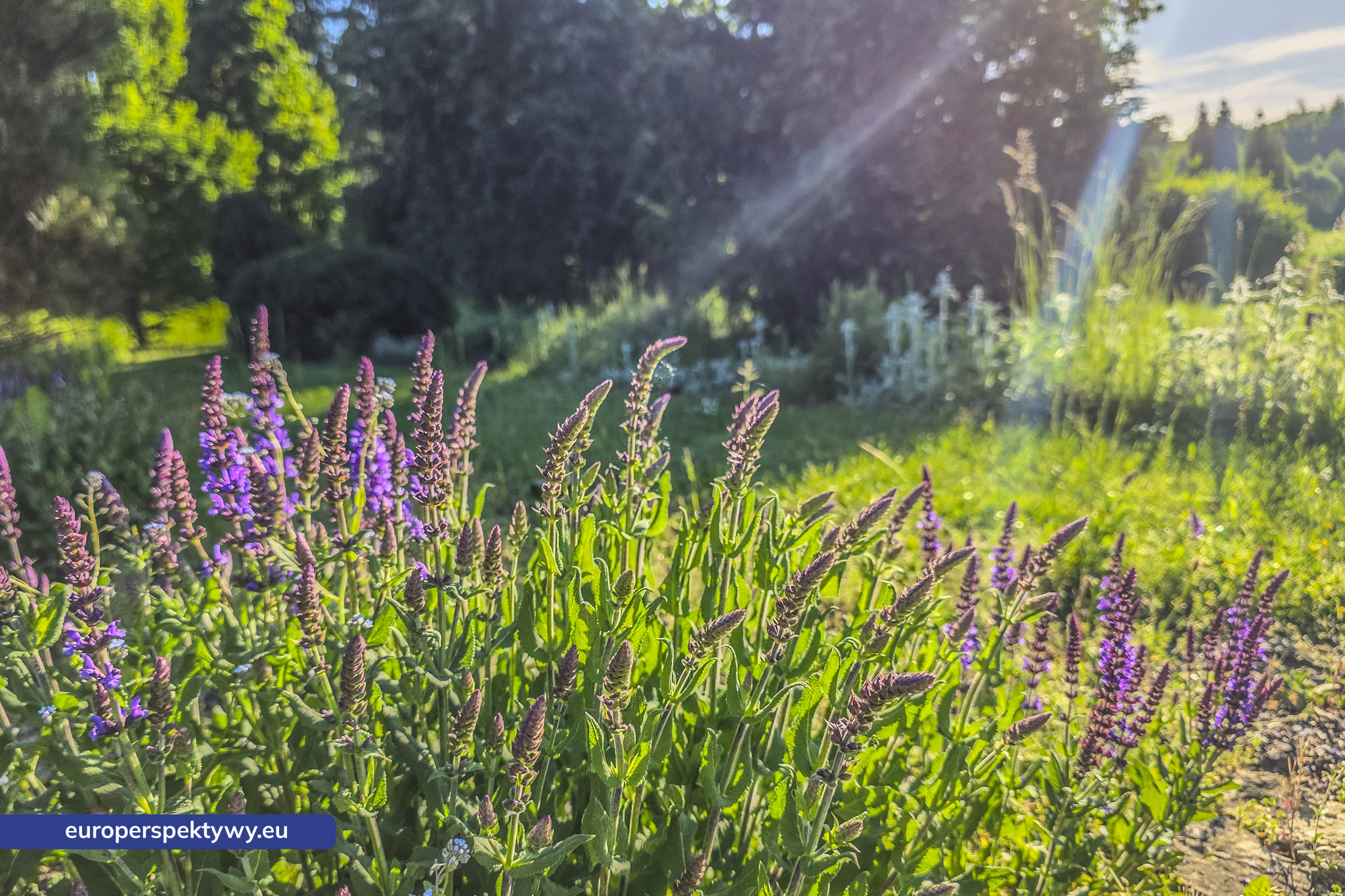 Europerspektywy Śląski Ogród Botaniczny – zielona przestrzeń, która uczy natury [fotoreportaż]