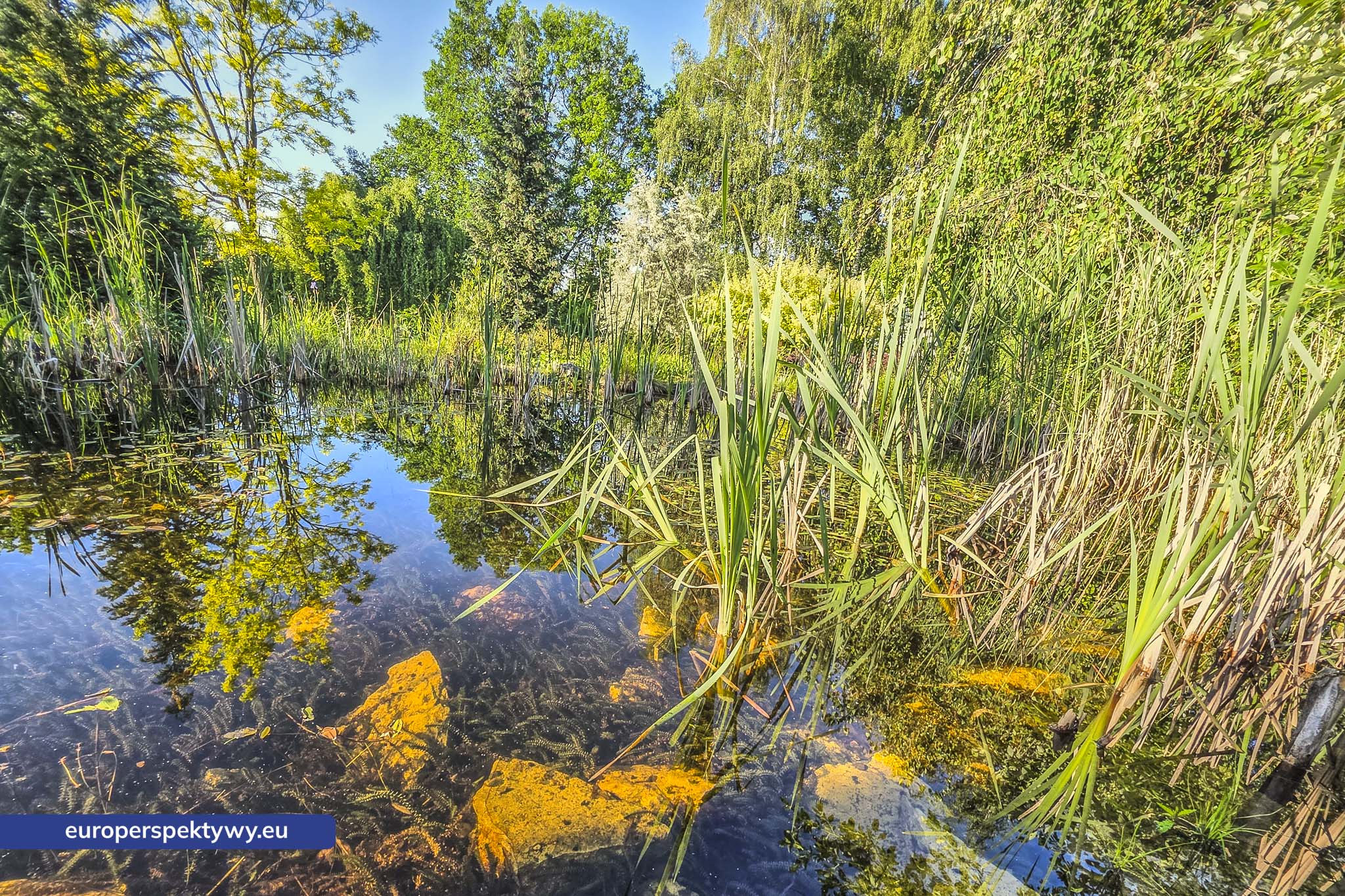 Europerspektywy Śląski Ogród Botaniczny – zielona przestrzeń, która uczy natury [fotoreportaż]