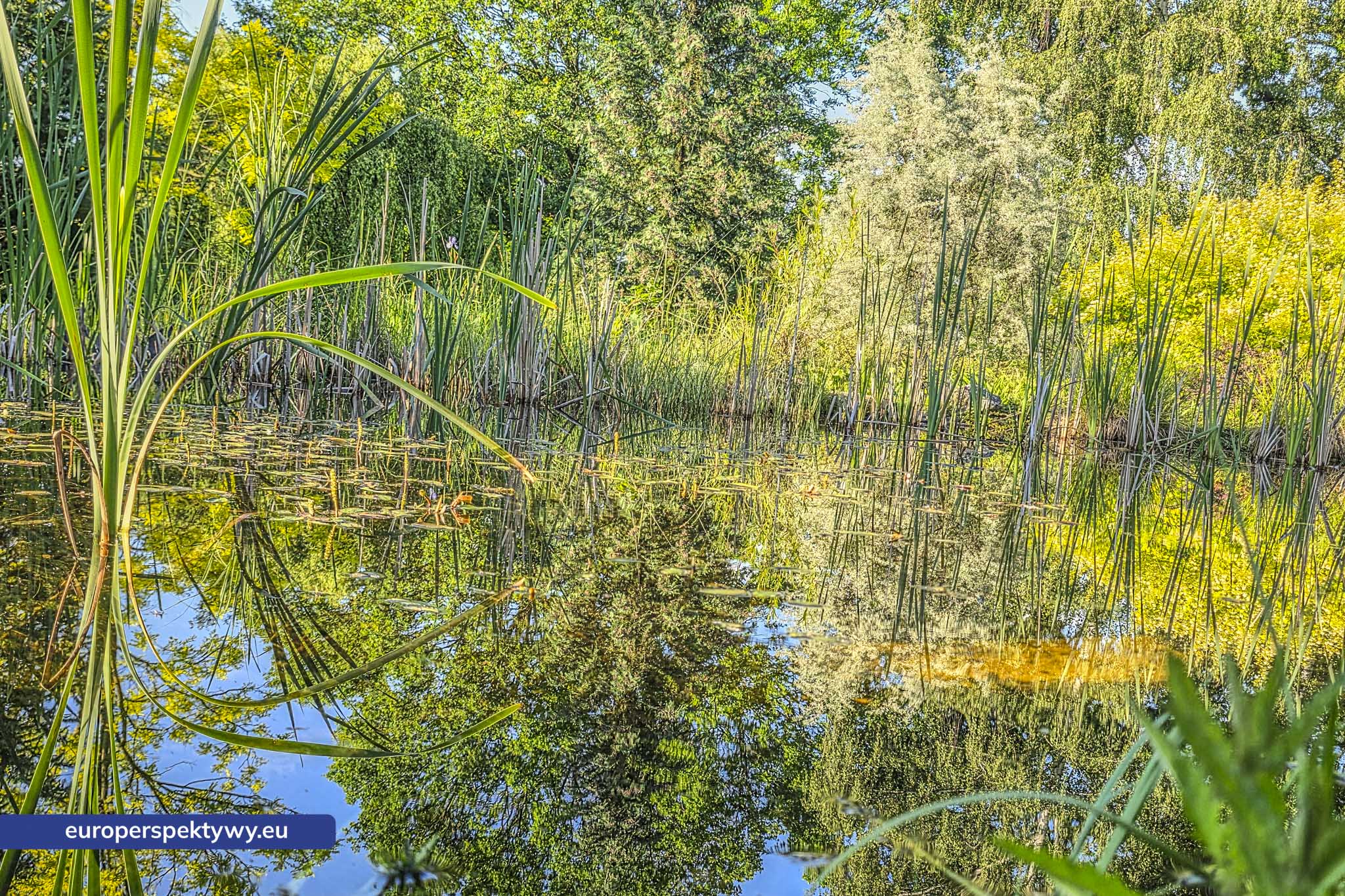 Europerspektywy Śląski Ogród Botaniczny – zielona przestrzeń, która uczy natury [fotoreportaż]
