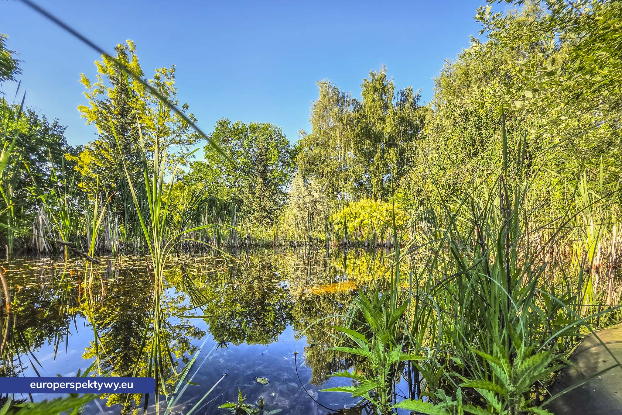 Europerspektywy Śląski Ogród Botaniczny – zielona przestrzeń, która uczy natury [fotoreportaż]