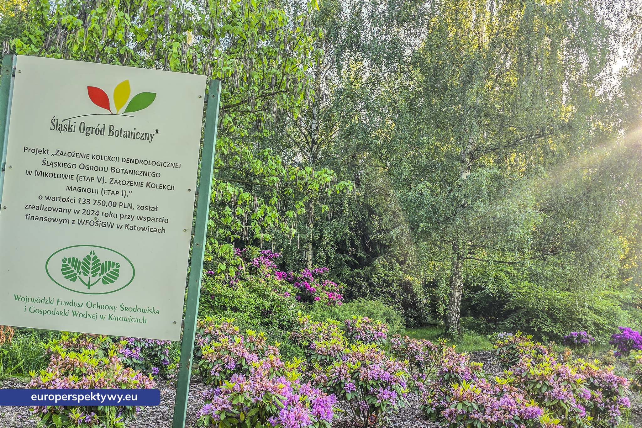 Europerspektywy Śląski Ogród Botaniczny – zielona przestrzeń, która uczy natury [fotoreportaż]