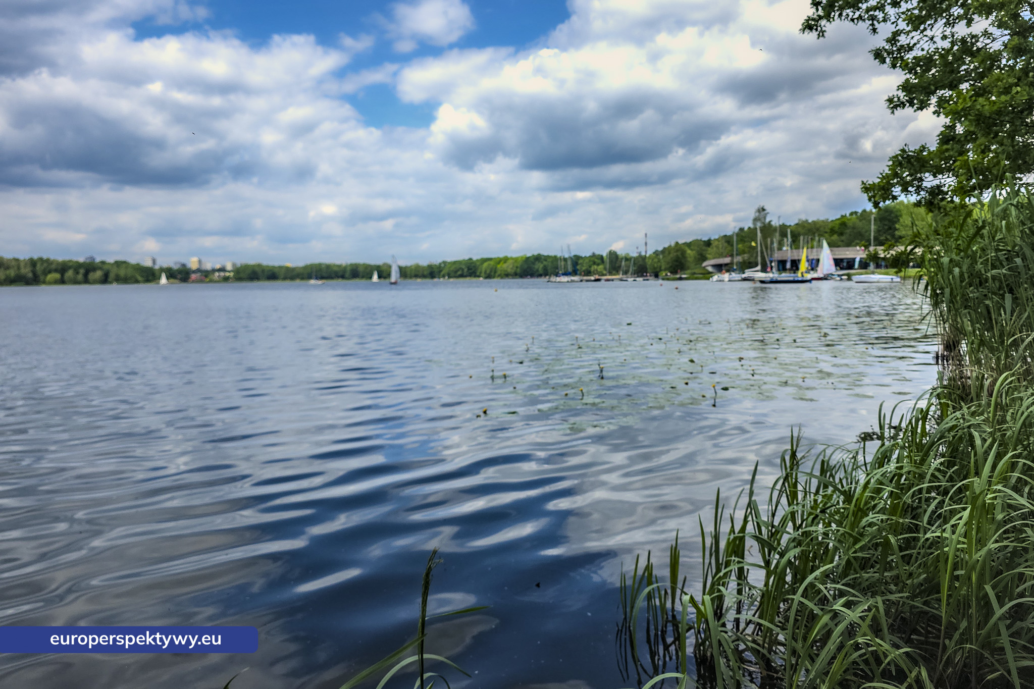 Europerspektywy Paprocany – zielona przestrzeń Tychów. Pomysł na spacer blisko natury [fotoreportaż]