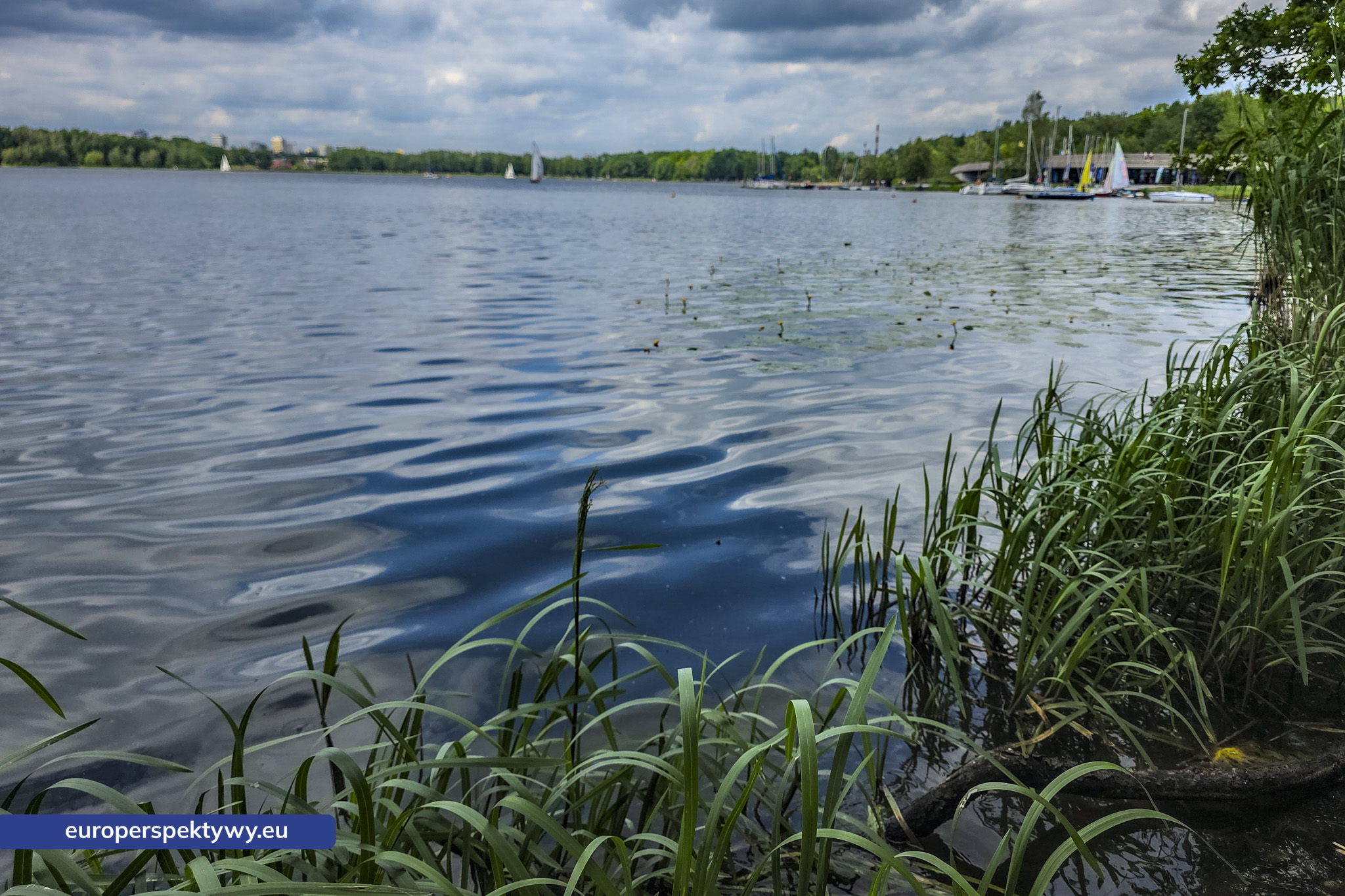 Europerspektywy Paprocany – zielona przestrzeń Tychów. Pomysł na spacer blisko natury [fotoreportaż]