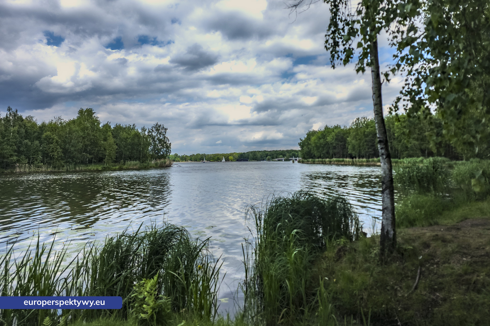 Europerspektywy Paprocany – zielona przestrzeń Tychów. Pomysł na spacer blisko natury [fotoreportaż]