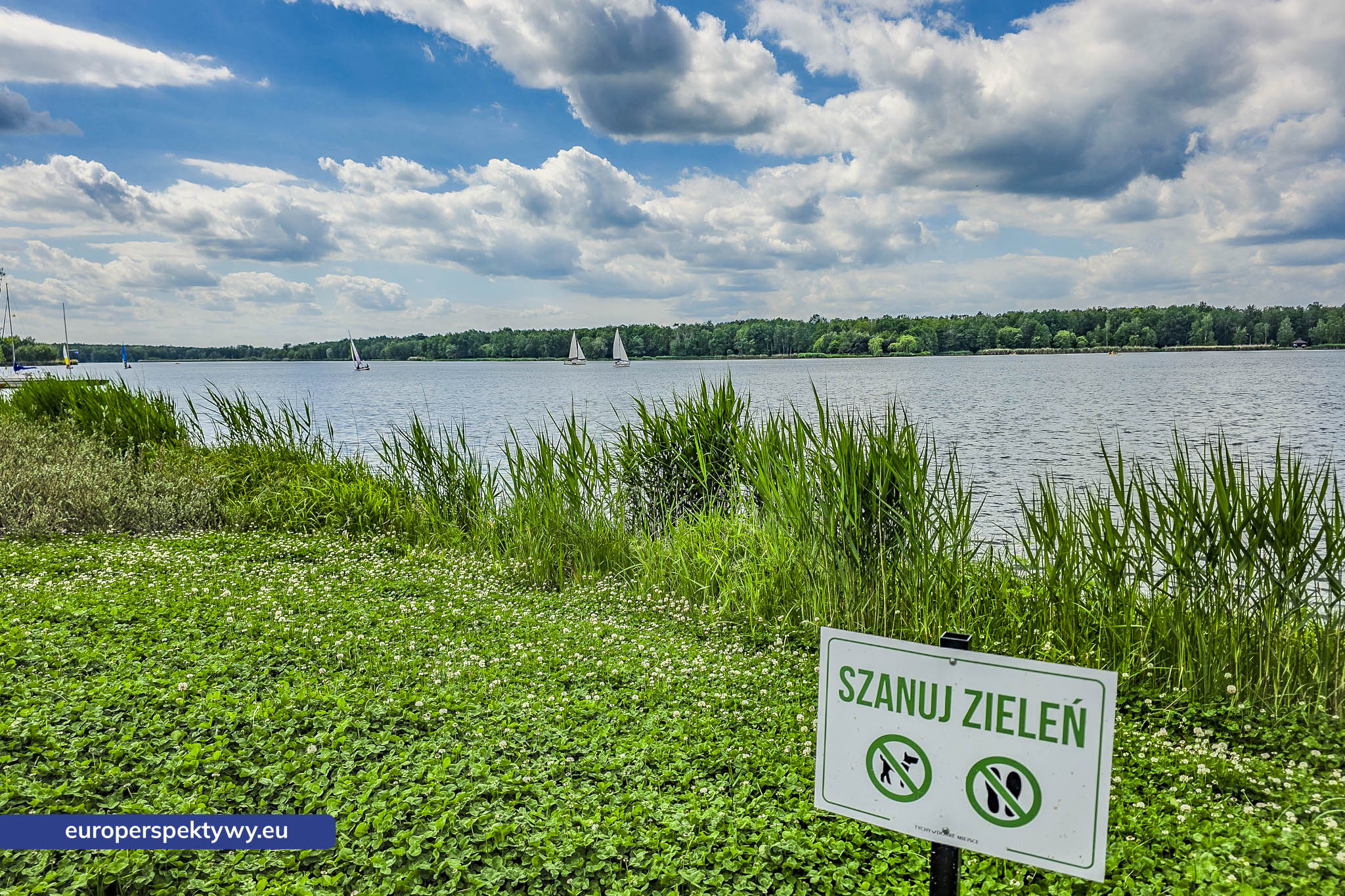 Europerspektywy Paprocany – zielona przestrzeń Tychów. Pomysł na spacer blisko natury [fotoreportaż]