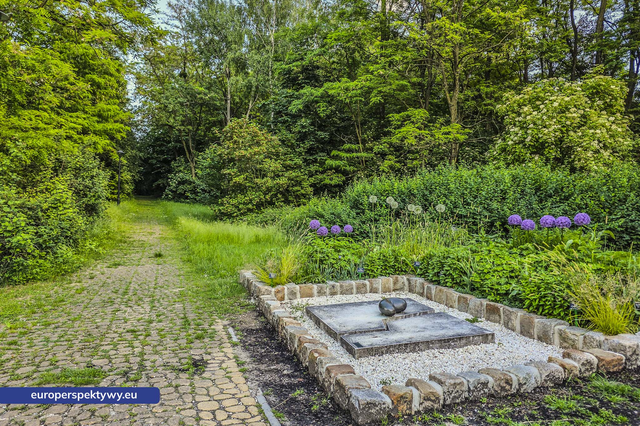 Europerspektywy Śląski Ogród Botaniczny – zielona przestrzeń, która uczy natury [fotoreportaż]
