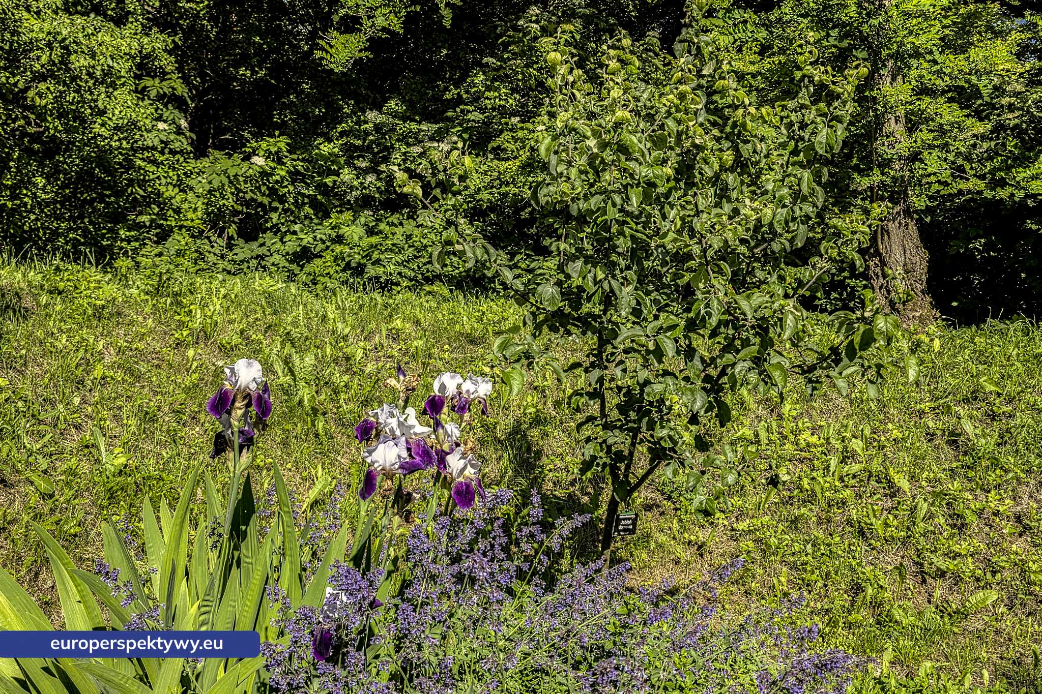 Europerspektywy Śląski Ogród Botaniczny – zielona przestrzeń, która uczy natury [fotoreportaż]