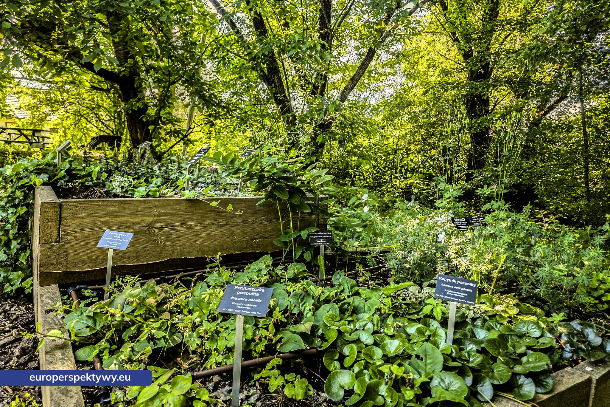 Europerspektywy Śląski Ogród Botaniczny – zielona przestrzeń, która uczy natury [fotoreportaż]