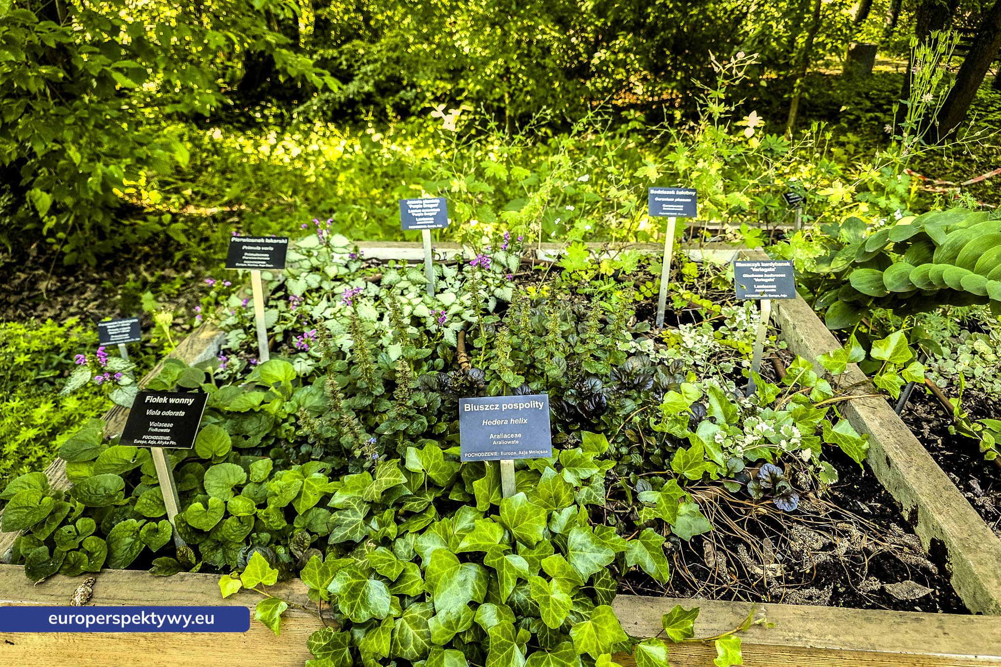 śląski ogród botaniczny wfośifw
