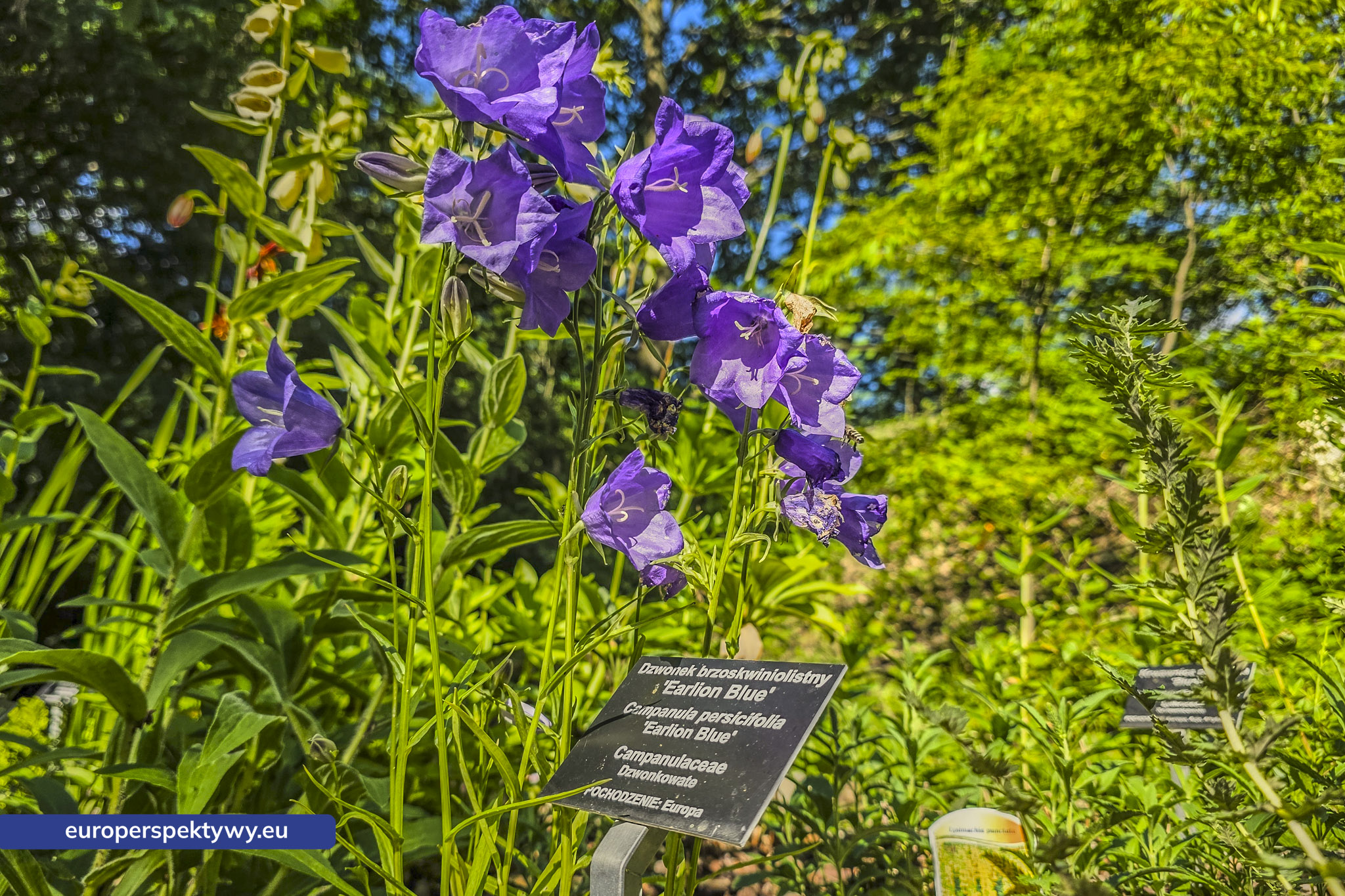 Europerspektywy Śląski Ogród Botaniczny – zielona przestrzeń, która uczy natury [fotoreportaż]