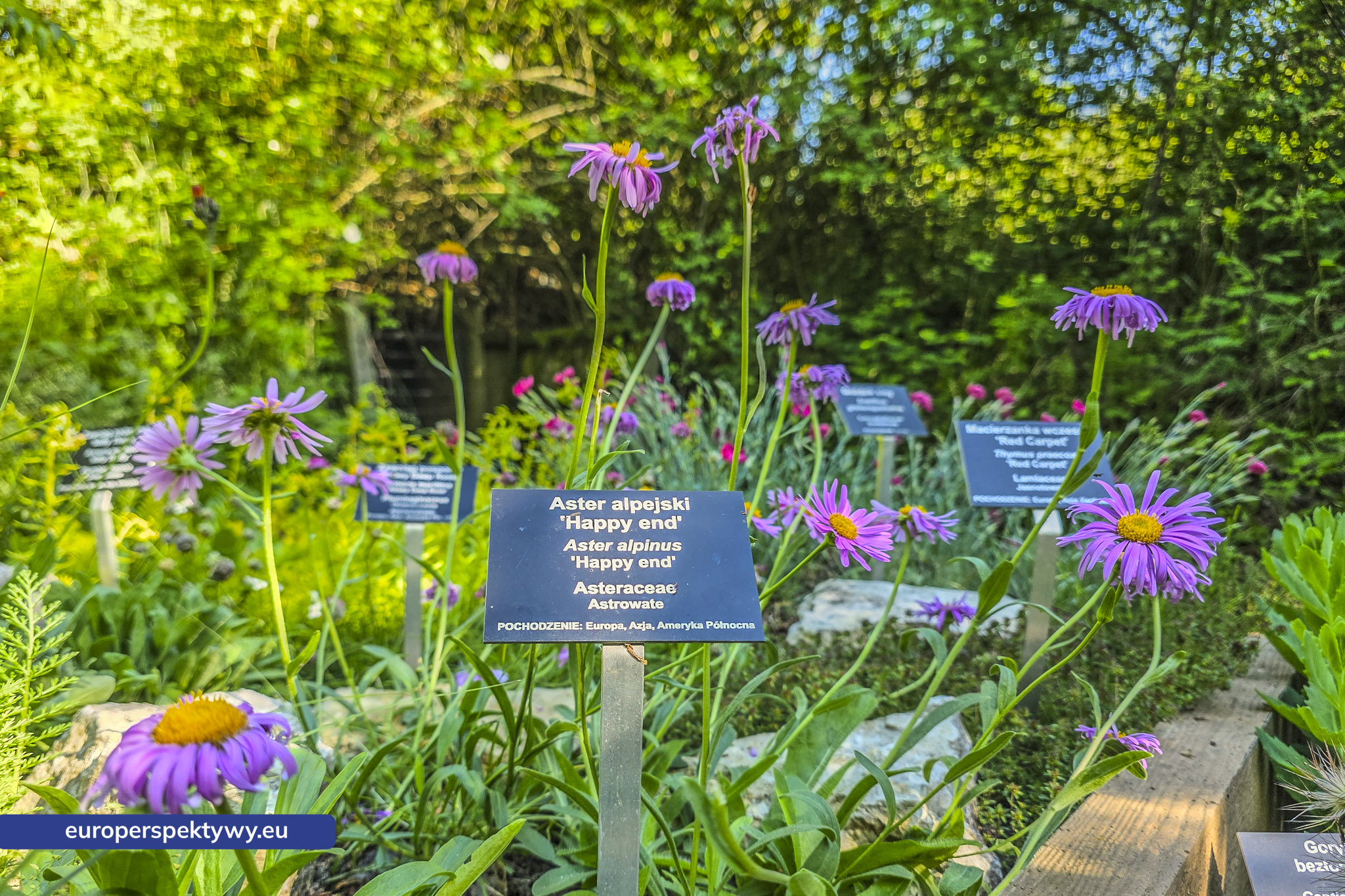 Europerspektywy Śląski Ogród Botaniczny – zielona przestrzeń, która uczy natury [fotoreportaż]