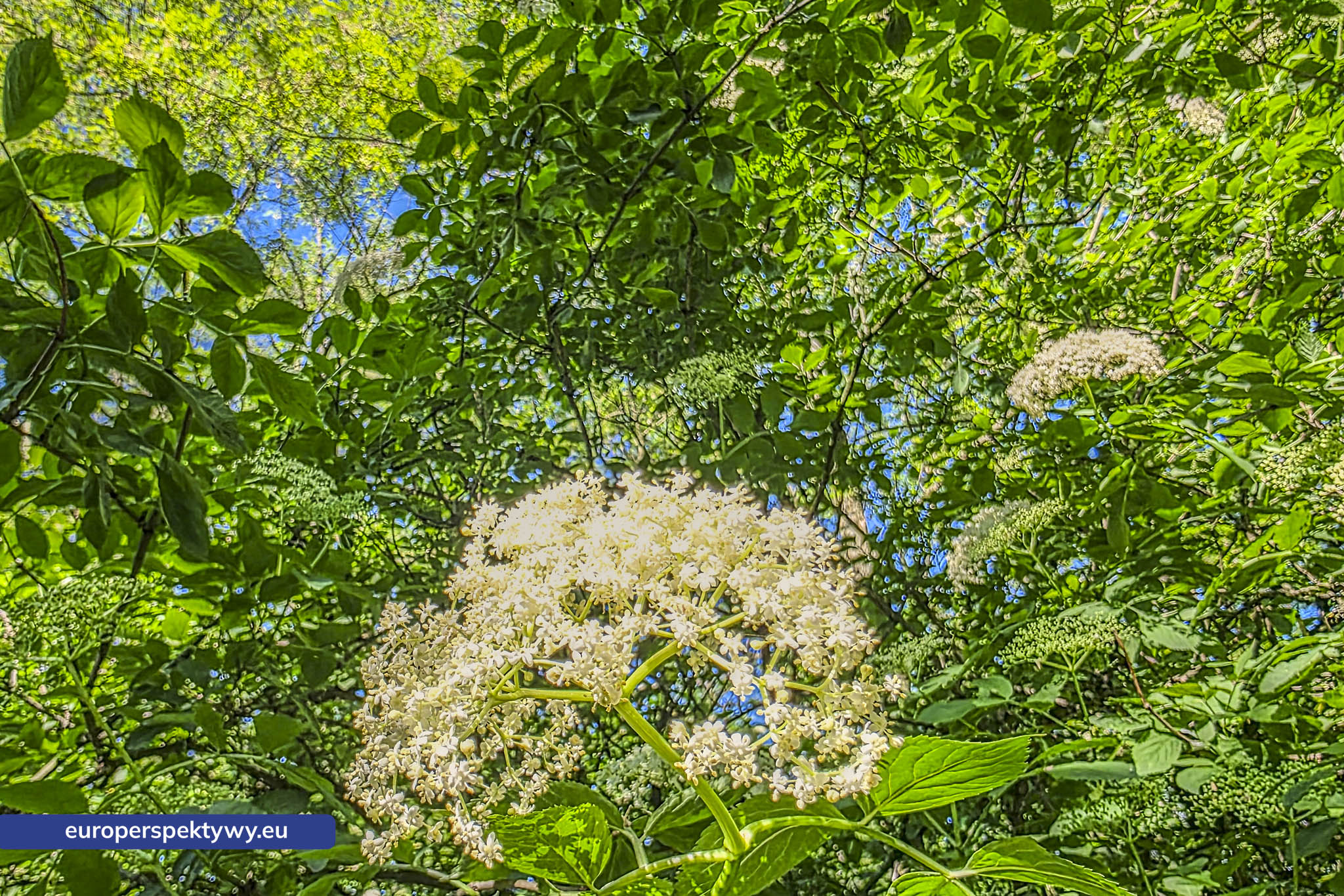 Europerspektywy Śląski Ogród Botaniczny – zielona przestrzeń, która uczy natury [fotoreportaż]