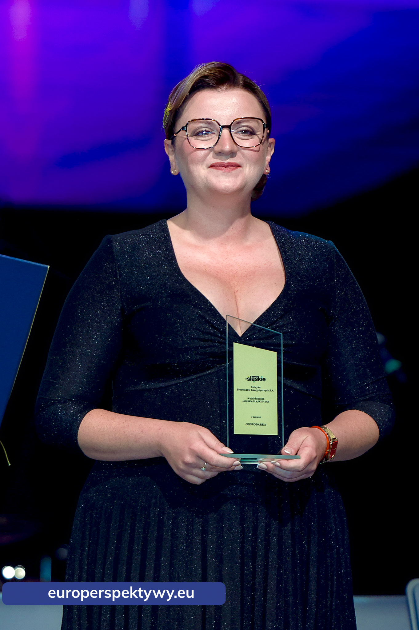 Wileka Gala RiPH Gliwice - Marka Ślaskie 2026 Europerspektywy 32. Wielka Gala RIPH w Gliwicach. Marka Śląskie dla liderów regionu