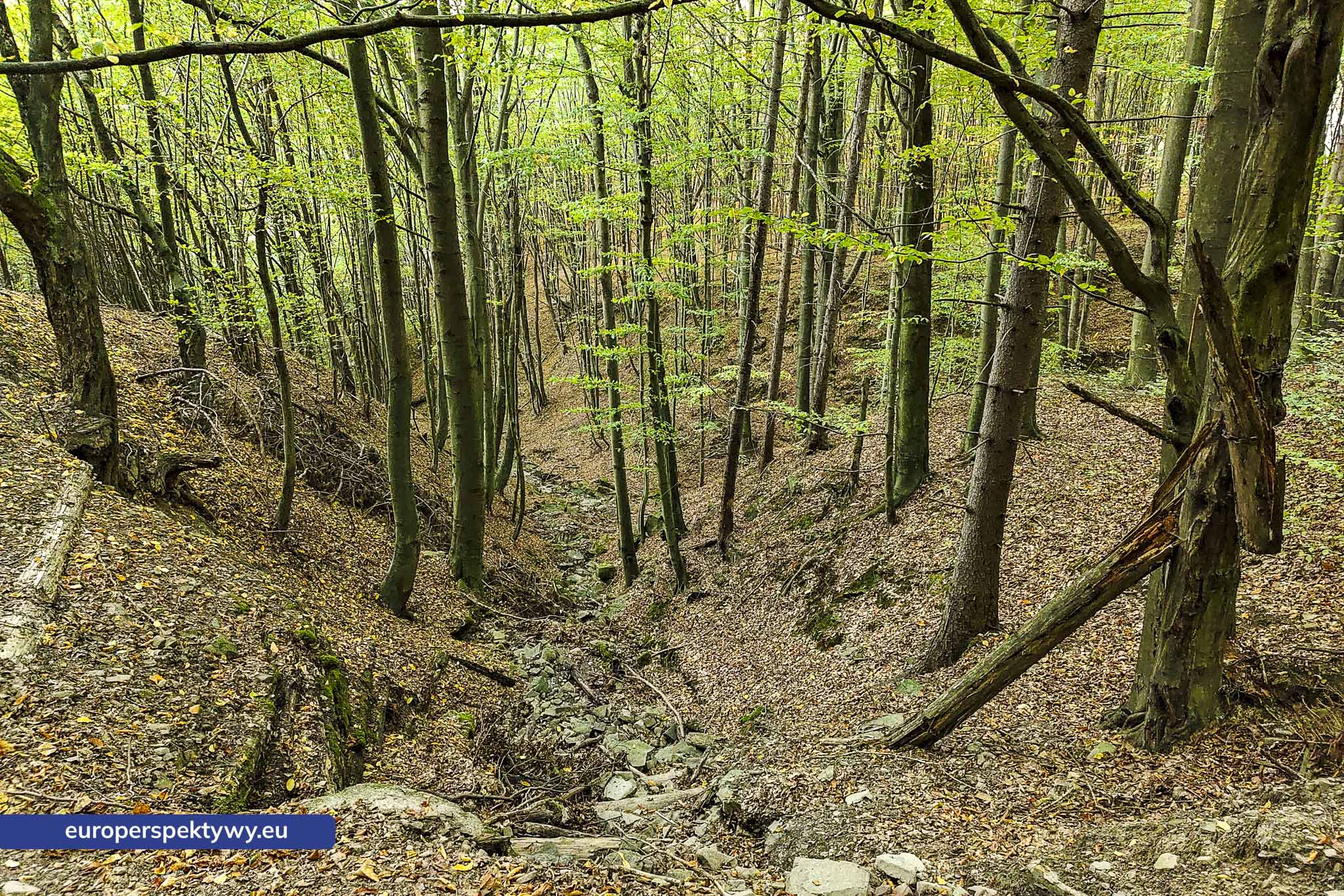 Europerspektywy Beskid Mały – pomysł na spacer [fotoreportaż]